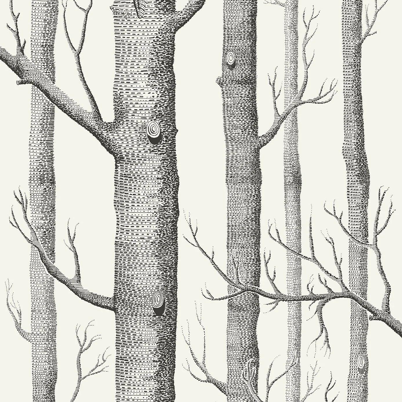 Tapeta CONTEMPORARY COLLECTION - Woods biały Cole & Son Default Title Eye on Design