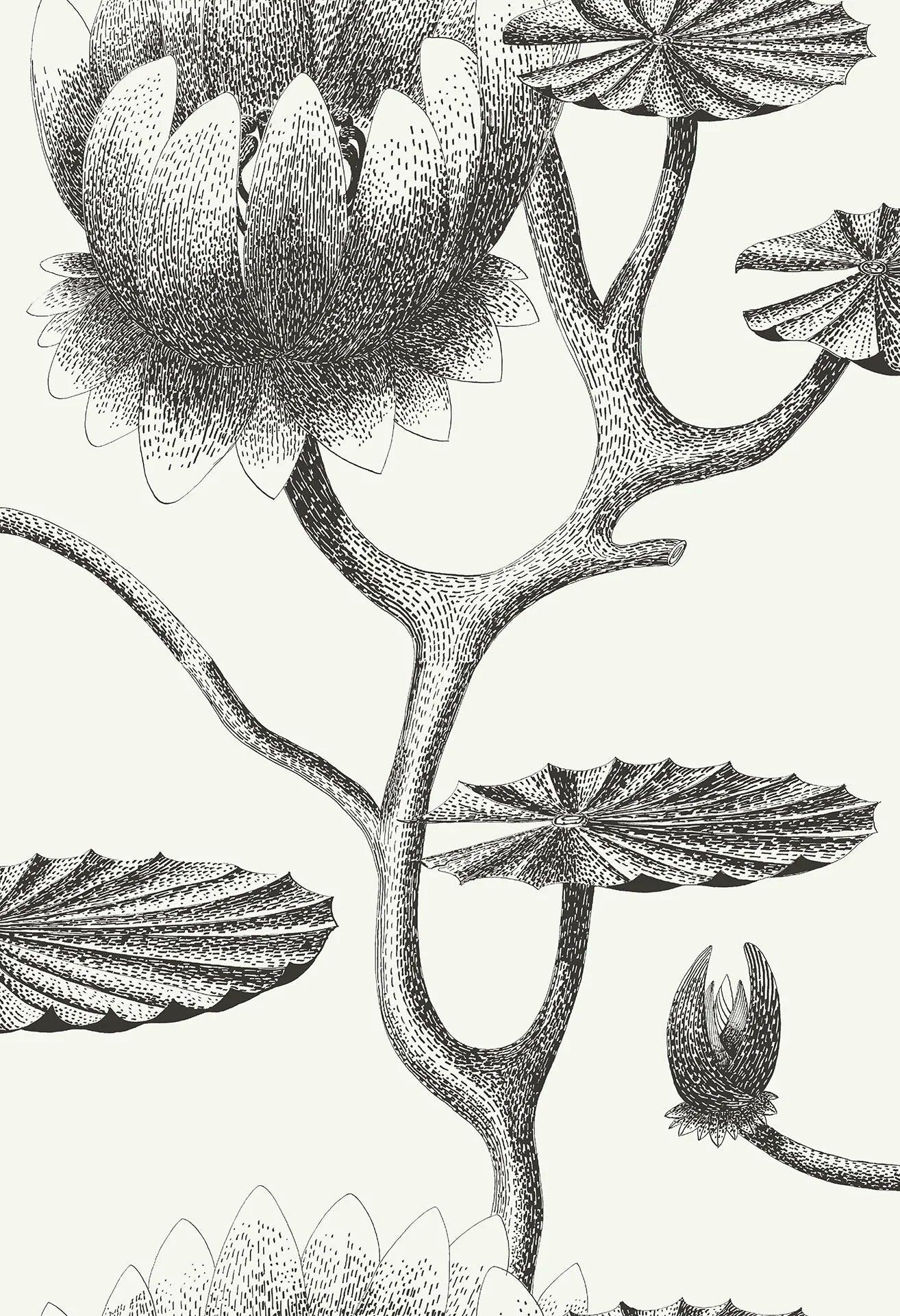 Tapeta CONTEMPORARY RESTYLED - Lily biały Cole & Son Eye on Design