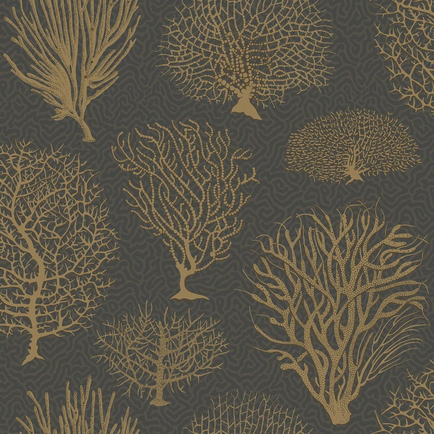 Tapeta CURIO - Seafern węgiel drzewny Cole & Son Eye on Design