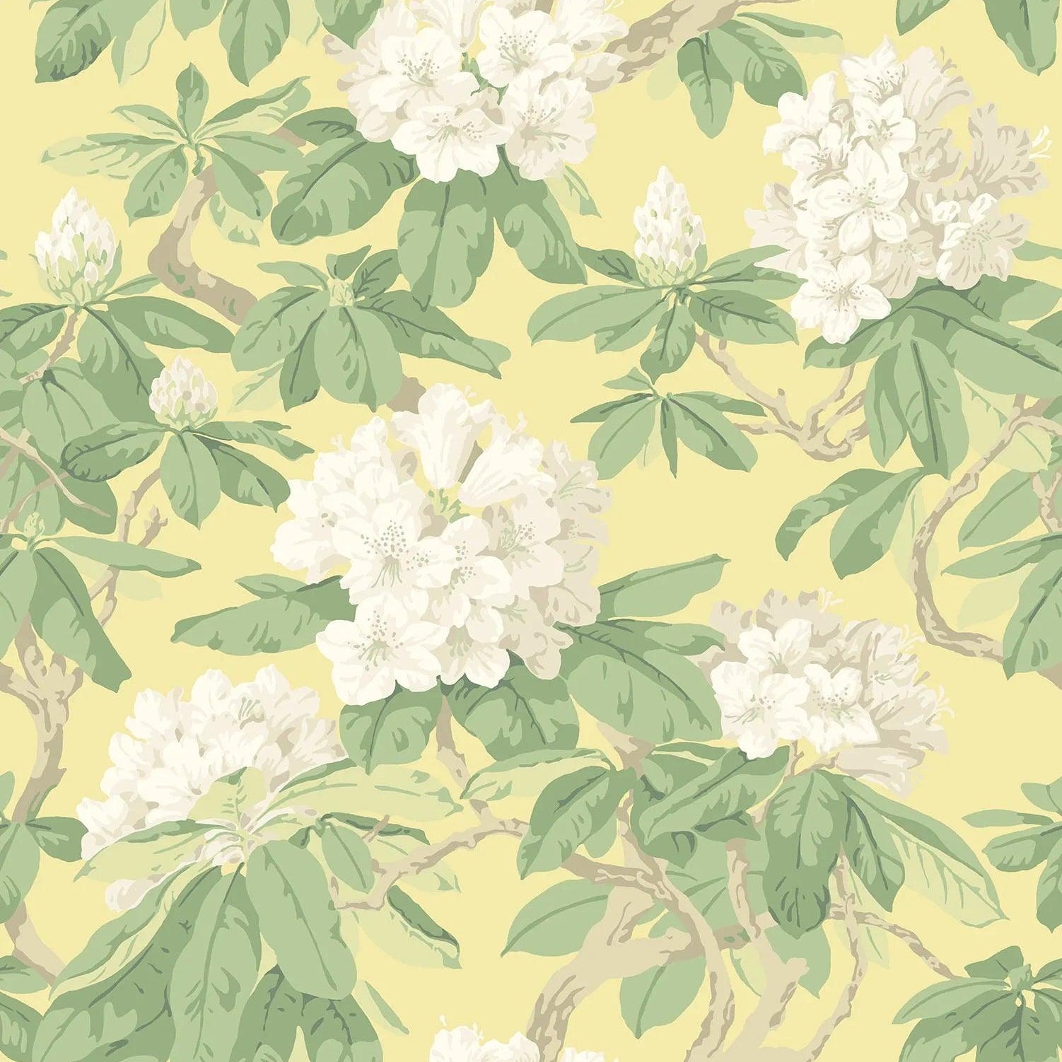 Tapeta FOLIE - Bourlie biel na cytrynie Cole & Son Eye on Design