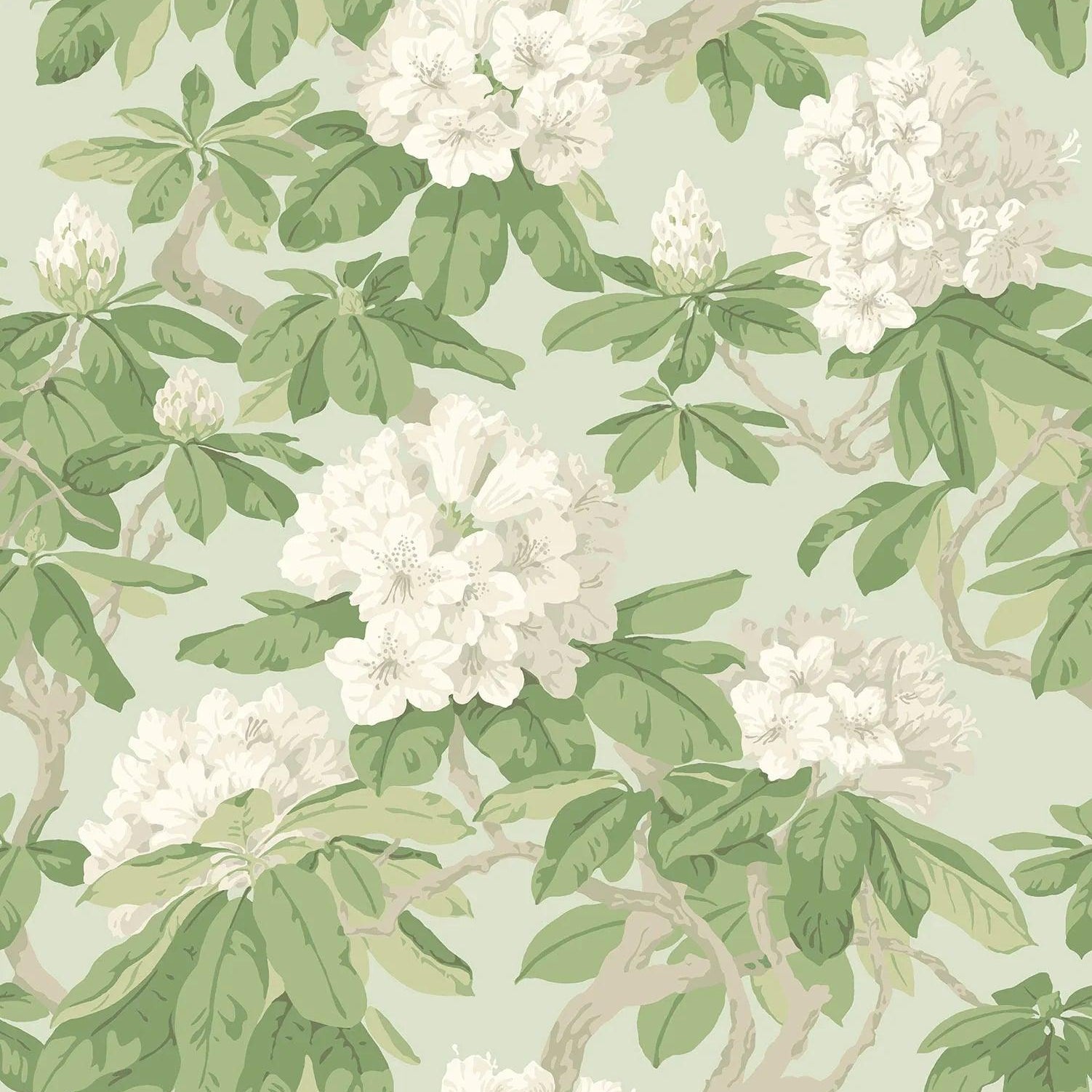 Tapeta FOLIE - Bourlie biel na zieleni Cole & Son Eye on Design