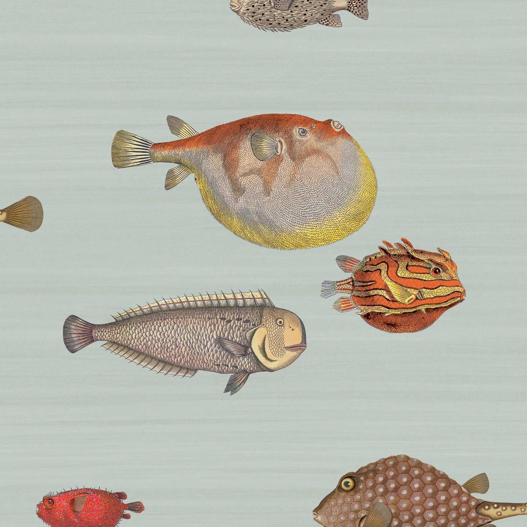 Tapeta FORNASETTI - Acquario błękitny Cole & Son Default Title Eye on Design