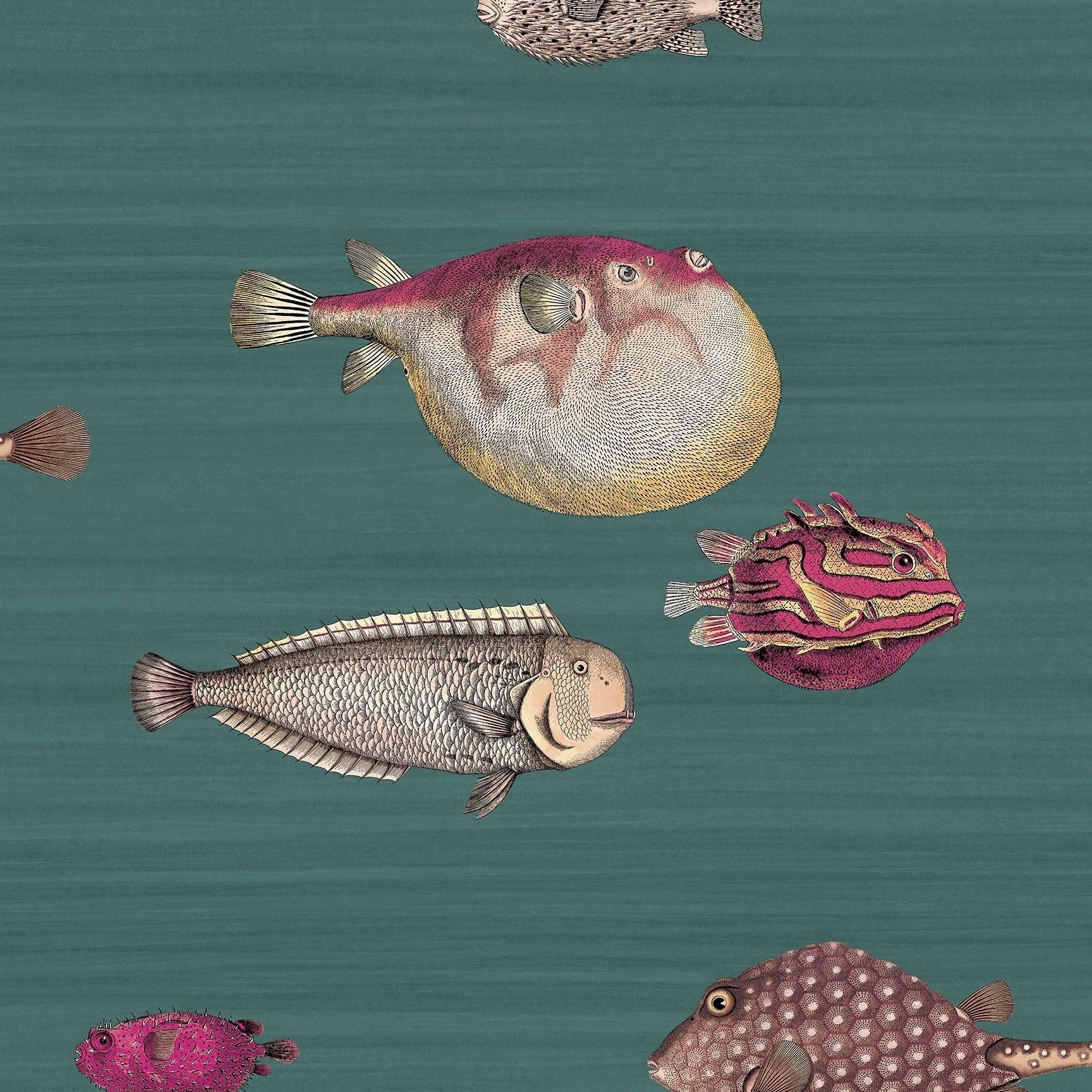 Tapeta FORNASETTI - Acquario zielony Cole & Son Default Title Eye on Design