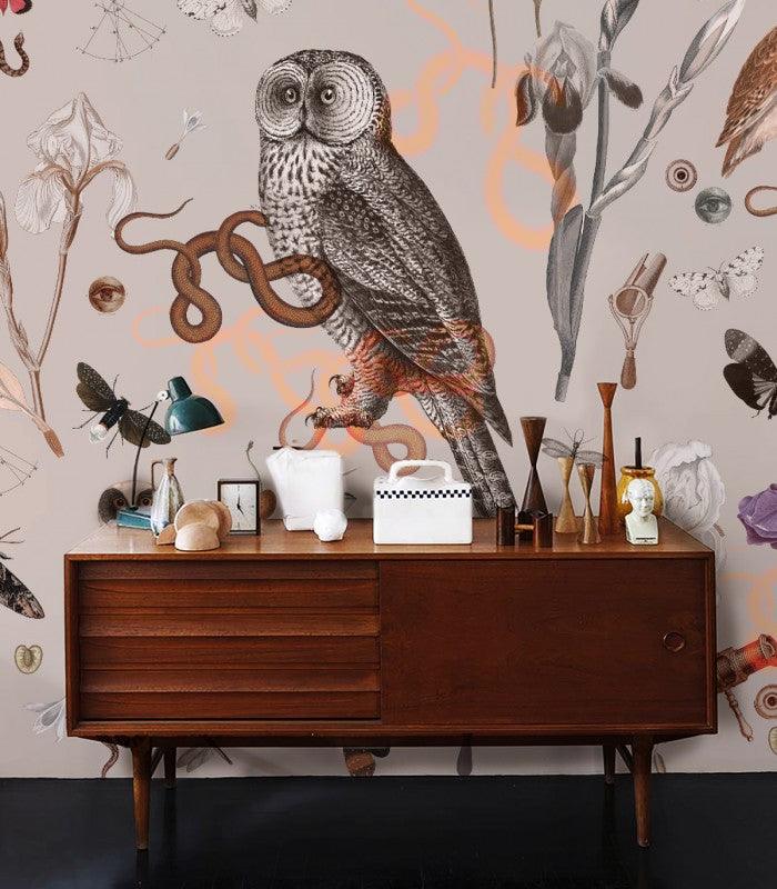 Tapeta PINK OWLS Wallcolors Eye on Design