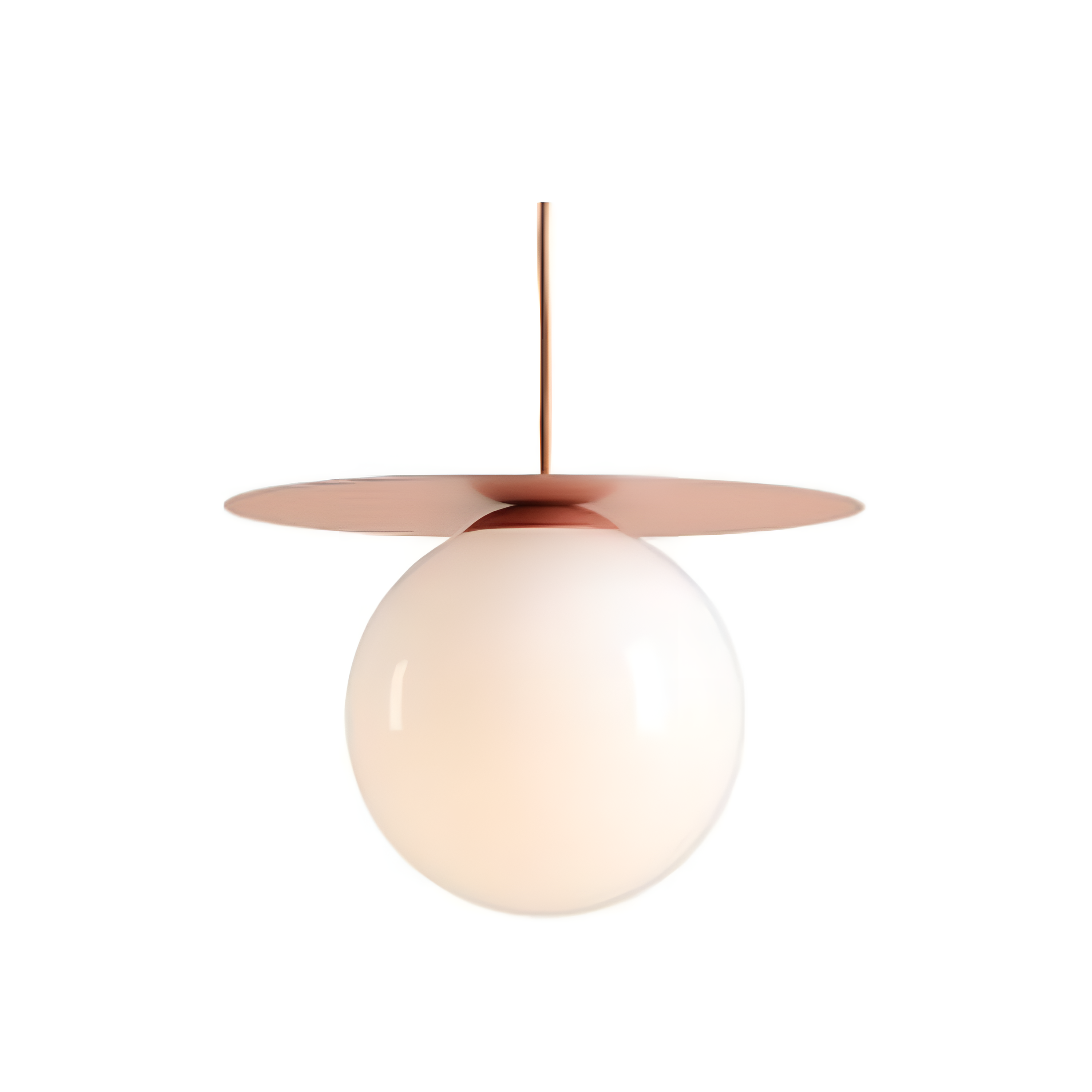 Hanging lamp coral loop