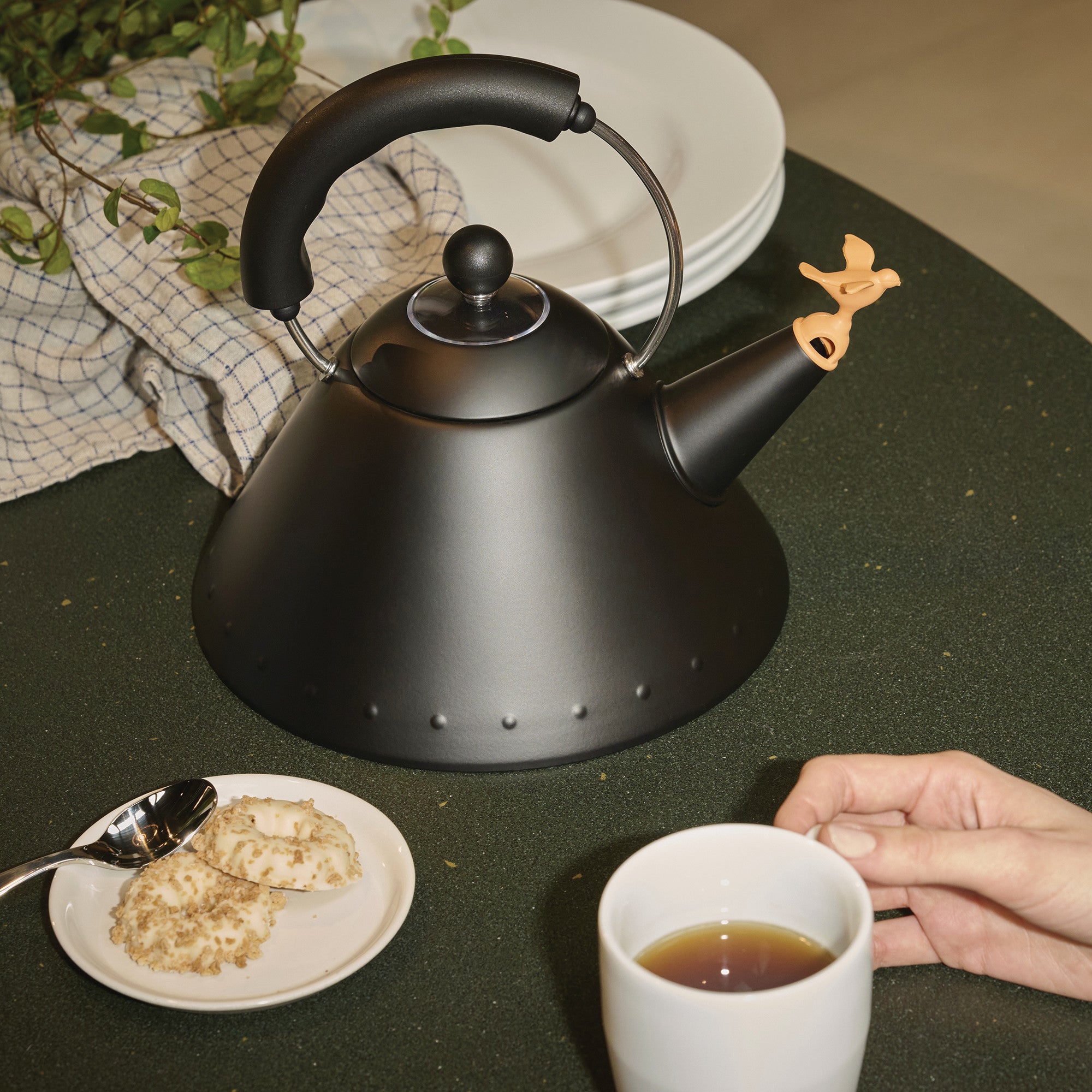 Induction kettle 9093 matte black