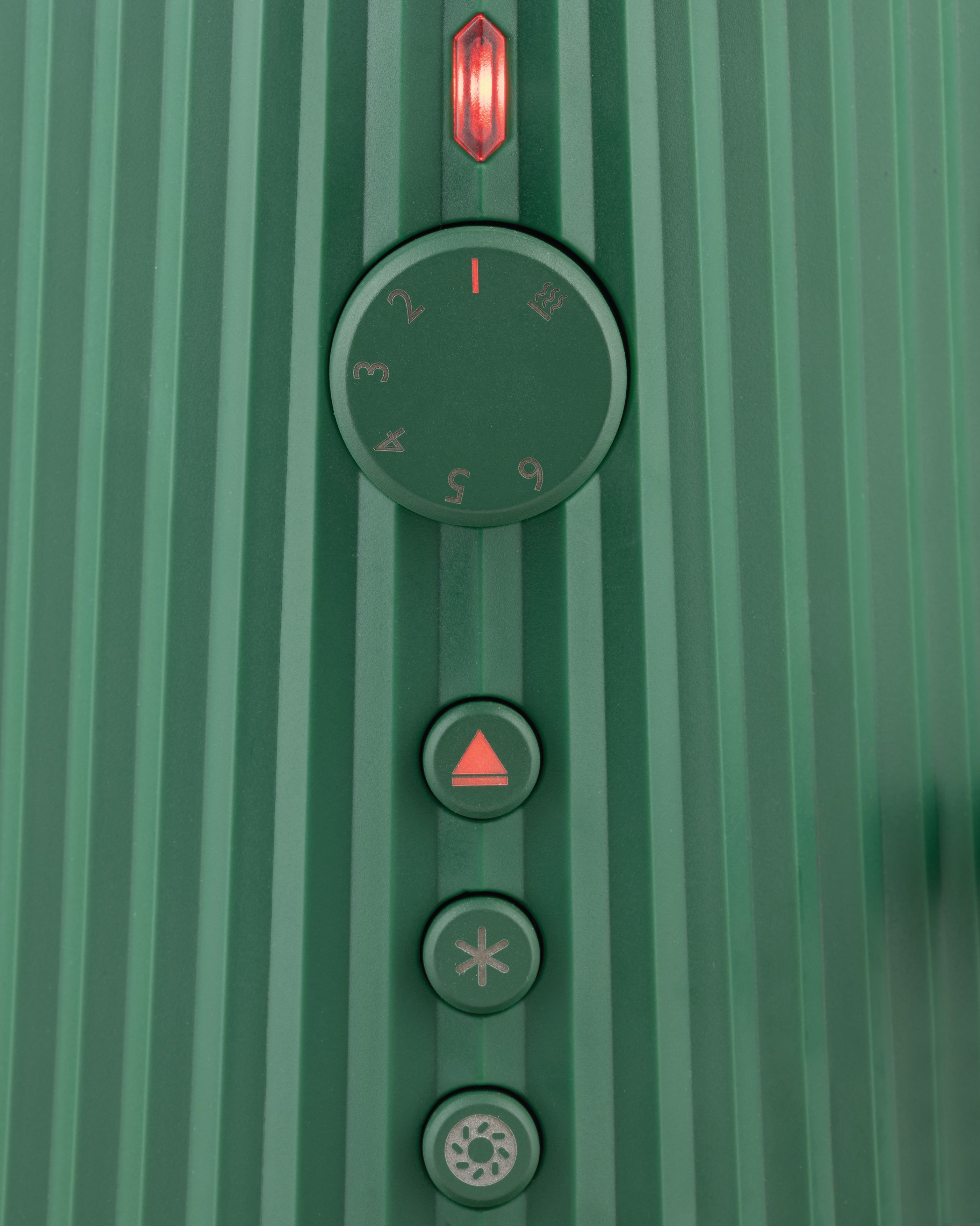 GREEN PLISSé TOTER