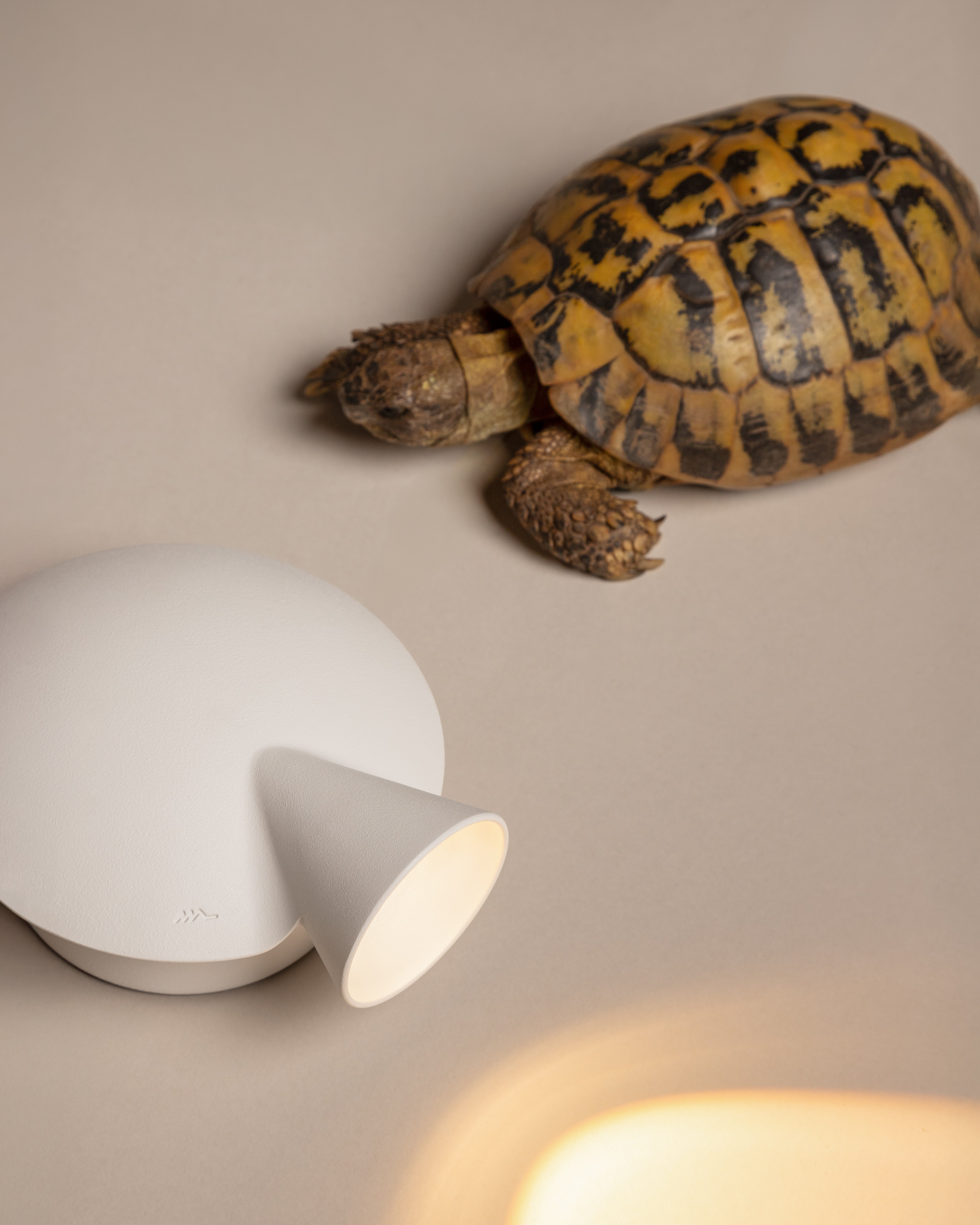 TORTUGA White Wall Lamp