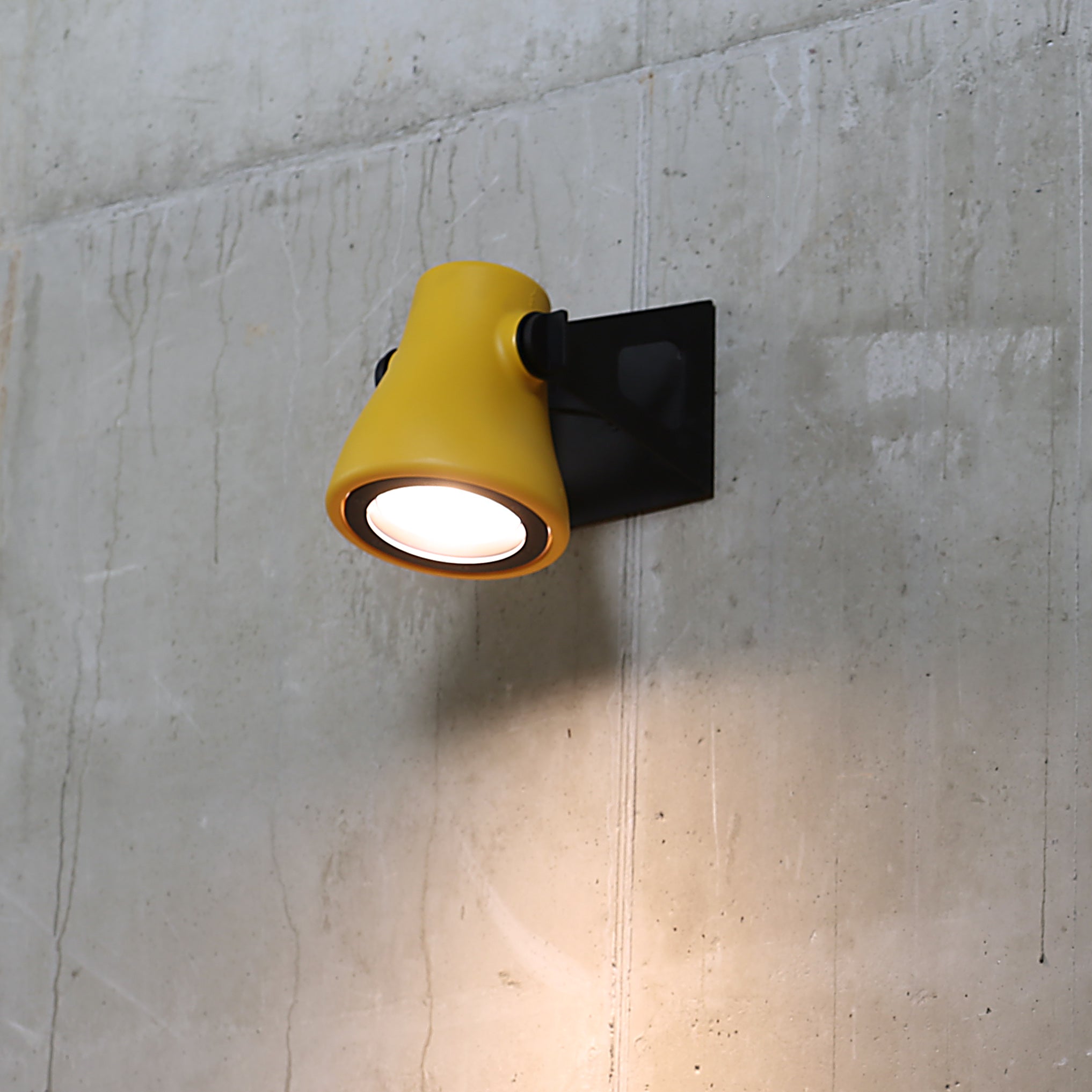 FROG Blue Outdoor Wall Lamp