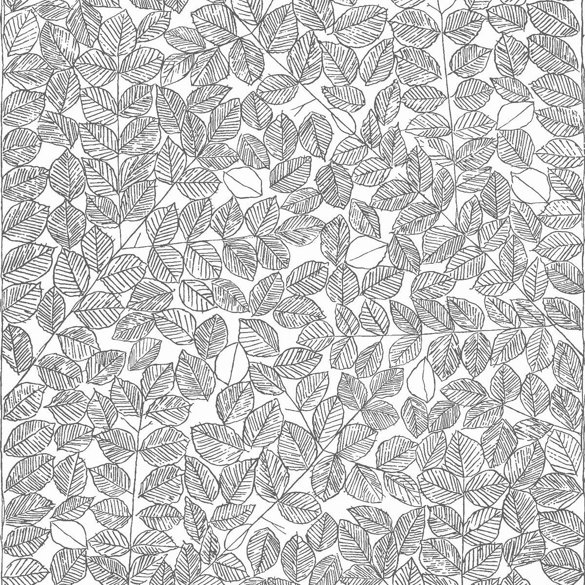 ROMANS Gray Leaf Pattern Wallpaper