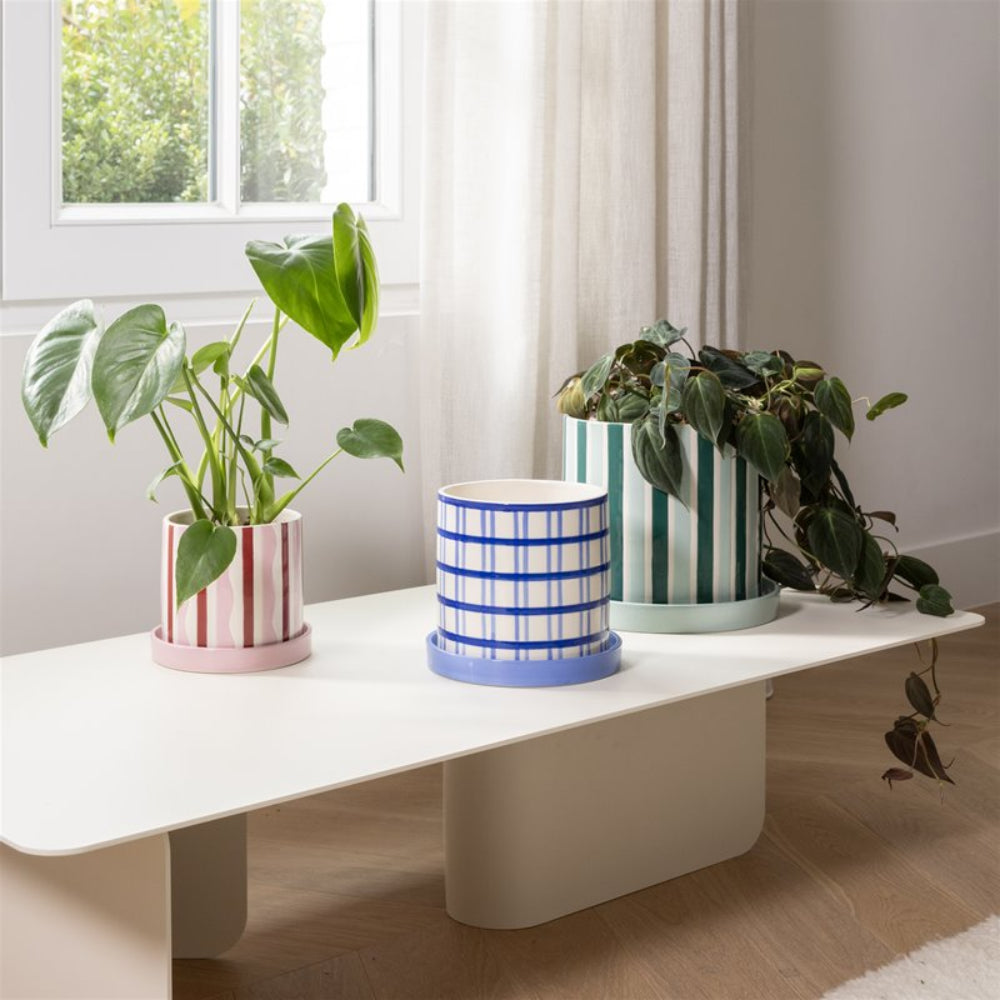 CLASH WIGGLE pot in pink with red and white