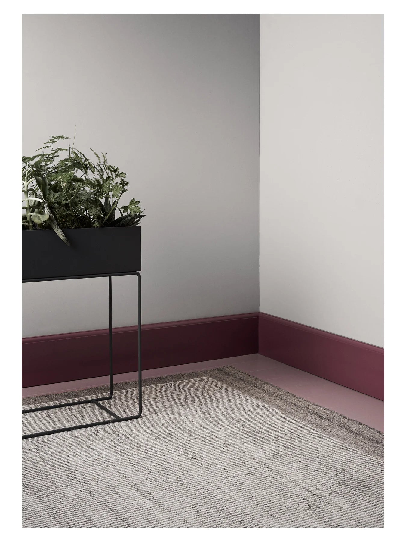 BURANO gray-beige rug