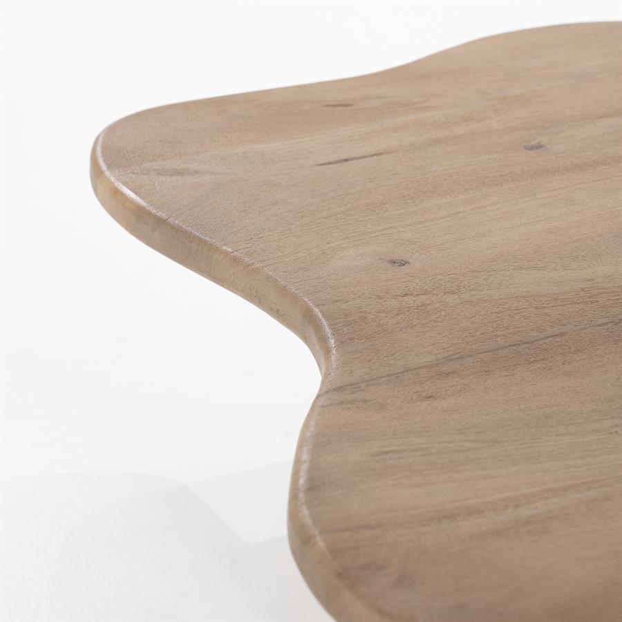 FALL mango wood coffee table set