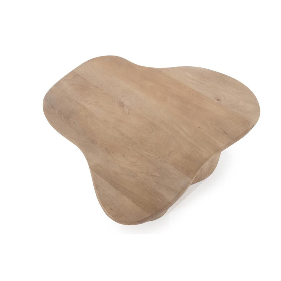 FALL mango wood coffee table set