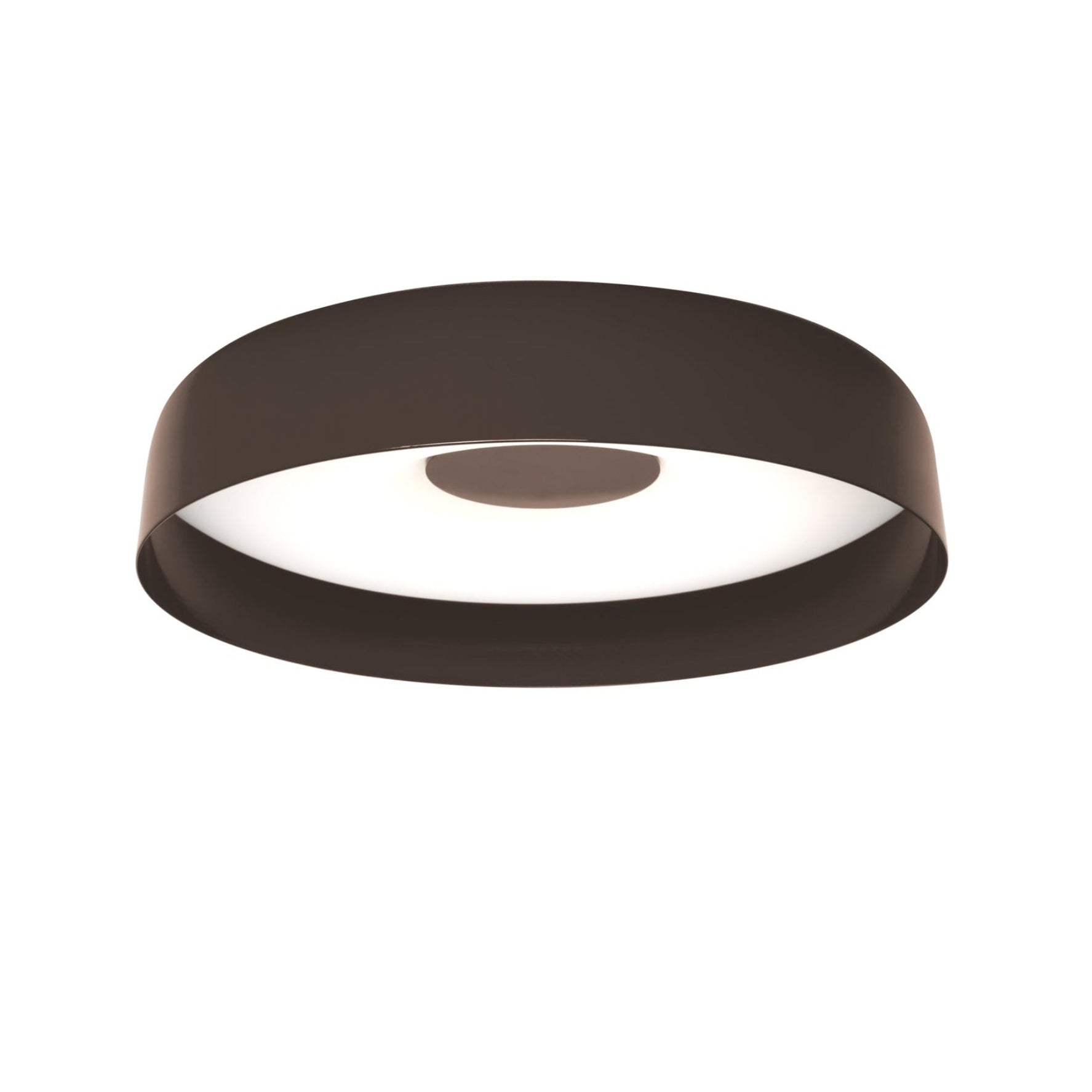 PAPAVERO Matte Brown Wall Lamp
