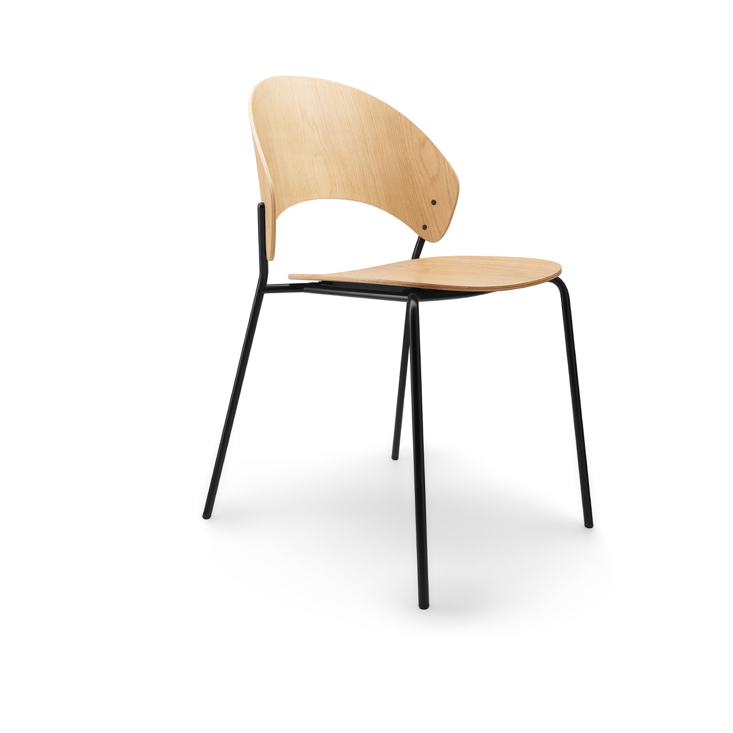 DOSINA chair oak veneer