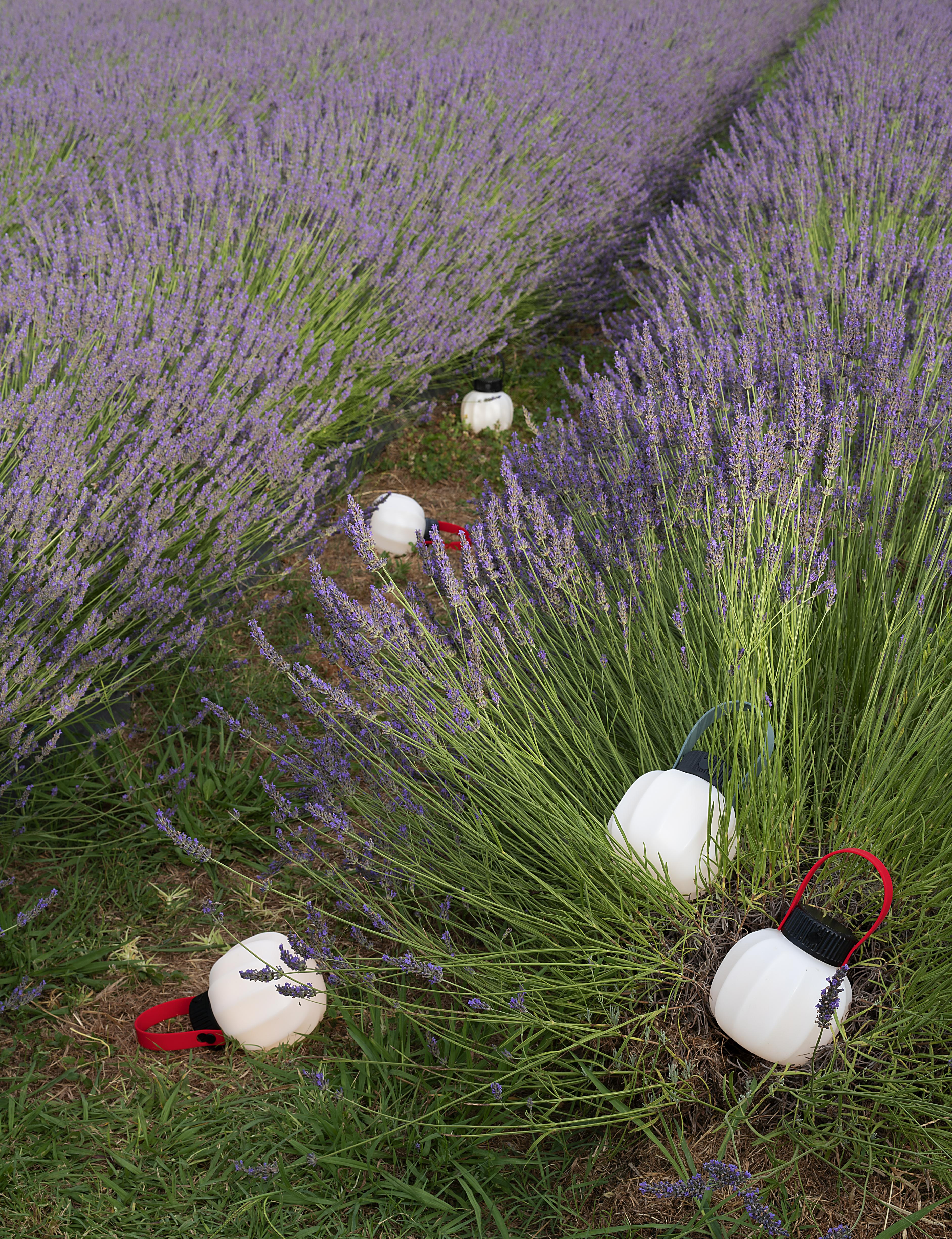 Portable outdoor lamp KIKI in white with a silicone handle.