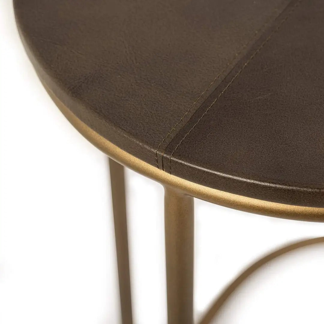 ZILLON Brown Side Table with Gold