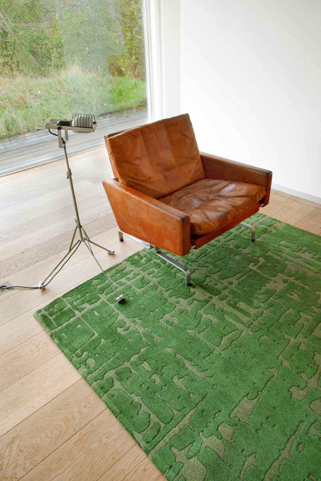 Carpet Baobab Perrier’s Green Green