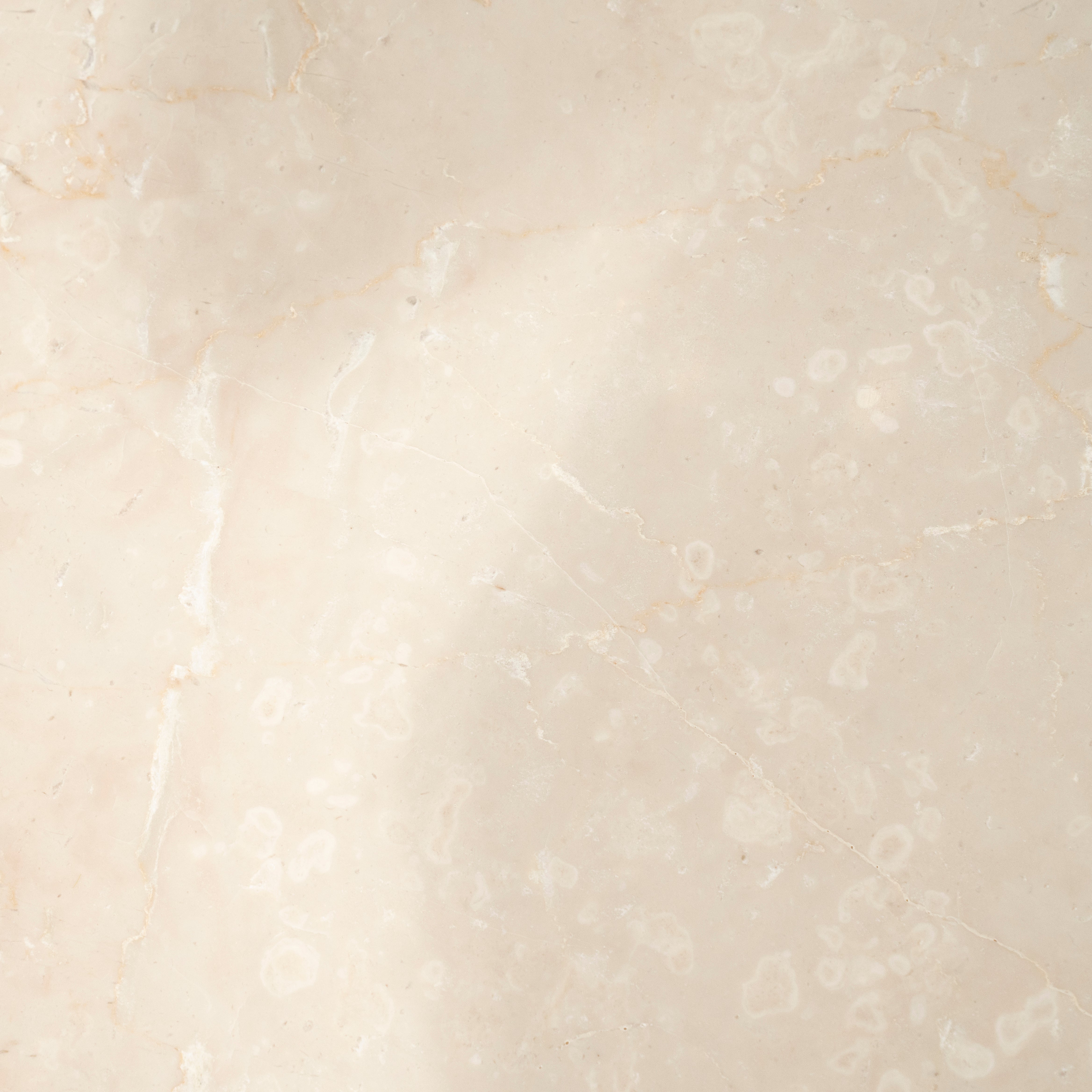 Runder Tisch XANNI aus Botticion-Marmor mit Mango-Holz