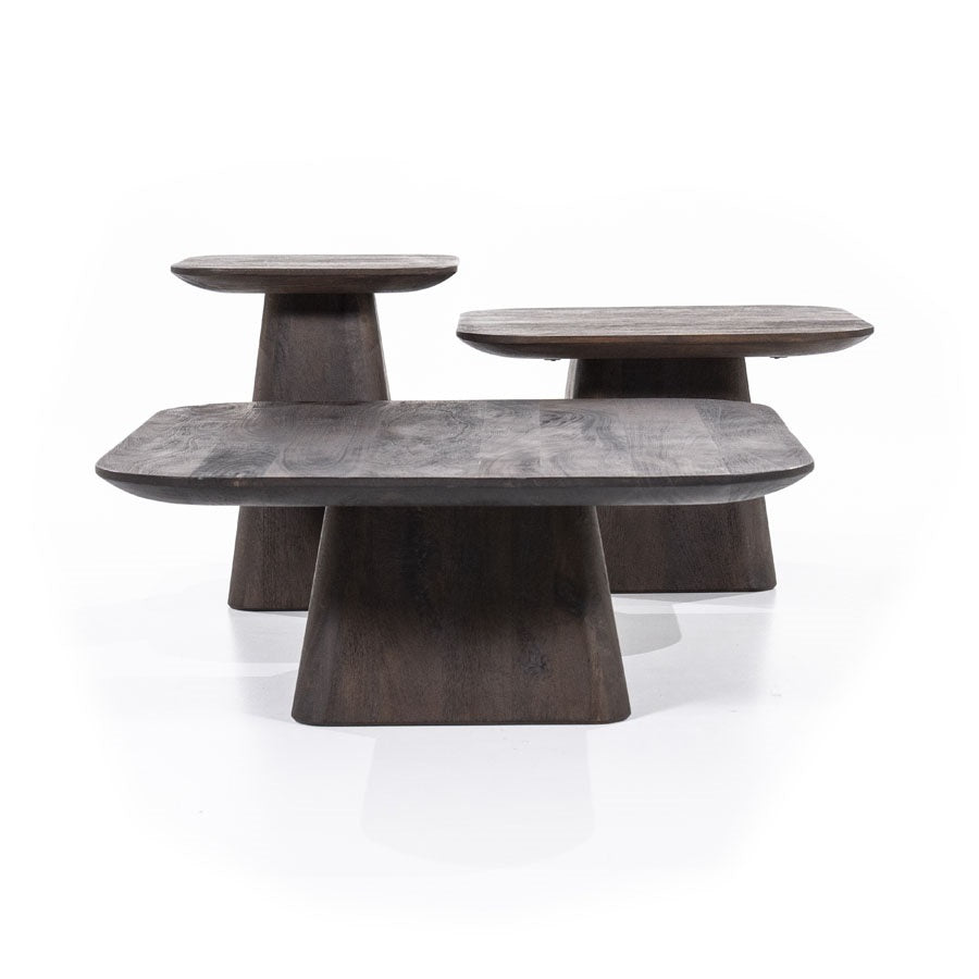ARON Mango Wood Coffee Table