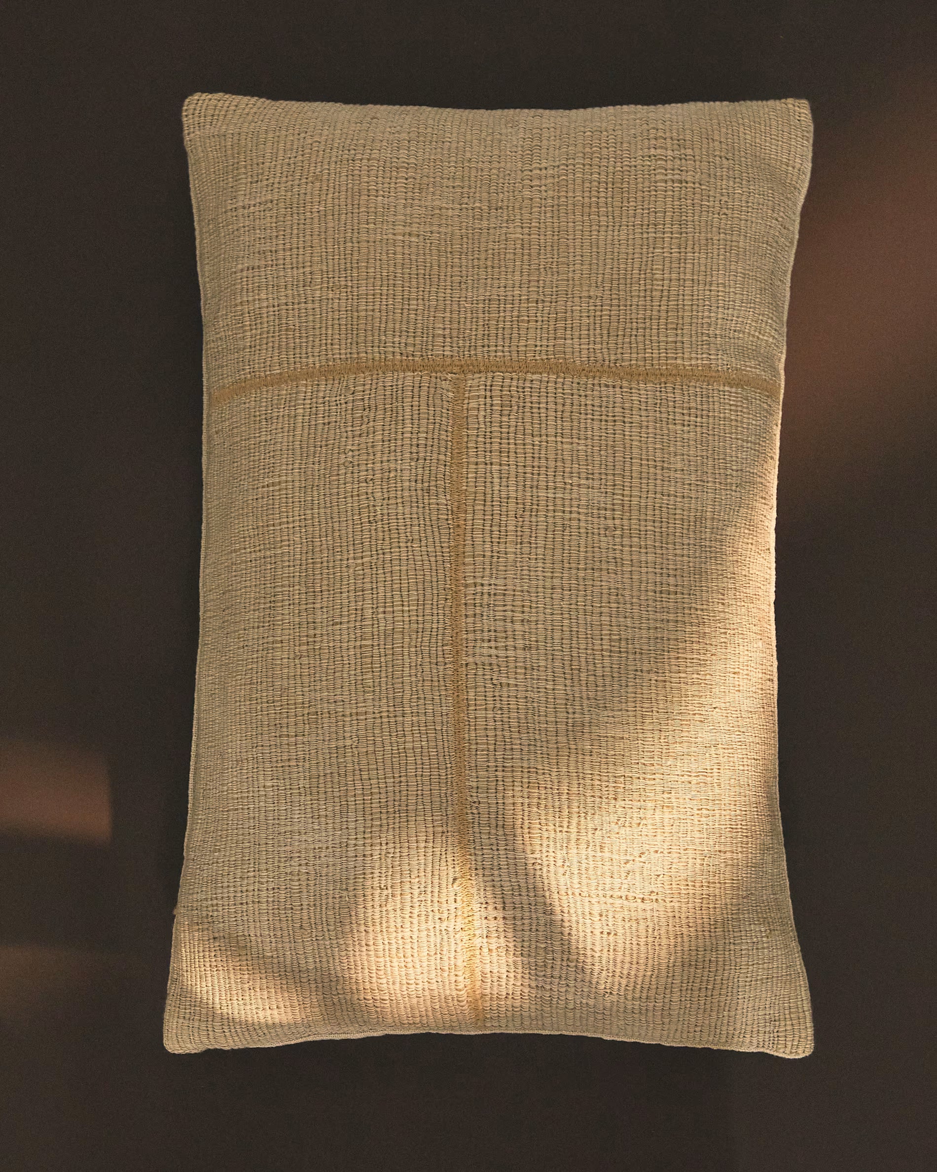 ANVERA Beige Pillowcase