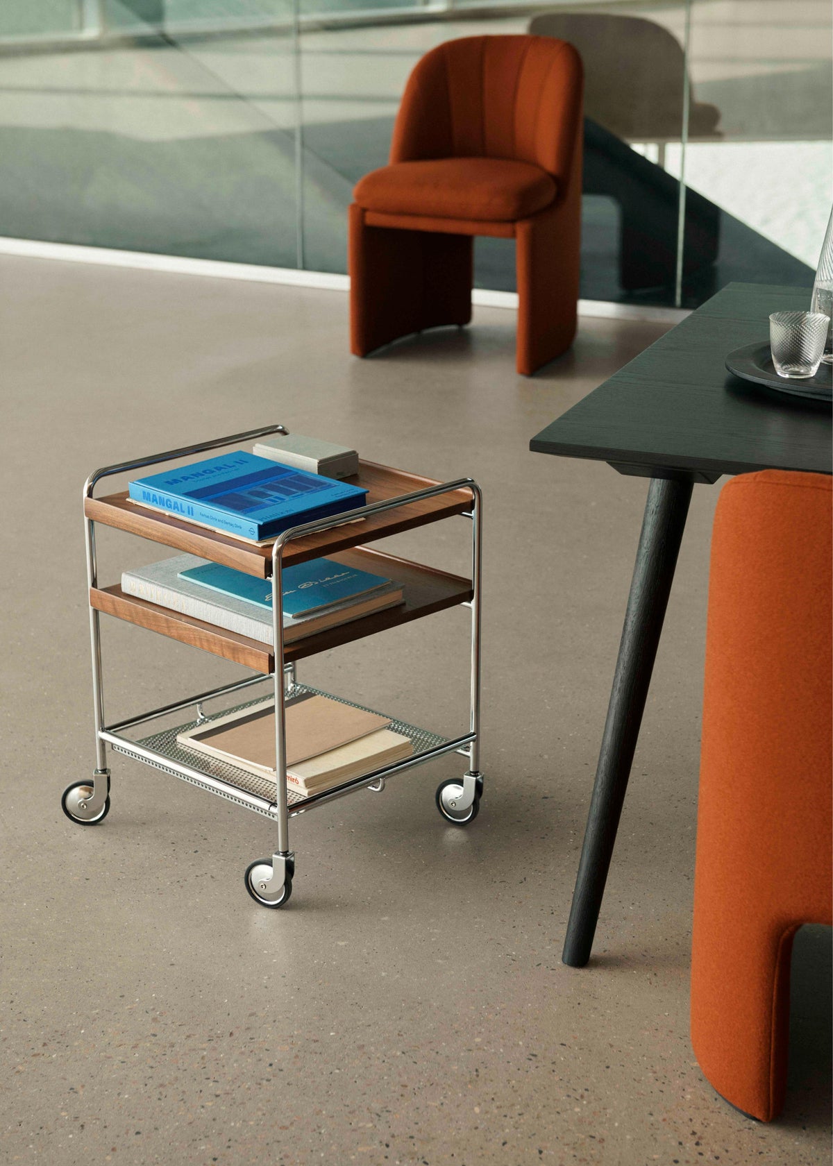 ALIMA NDS2 cart in chrome with oak wood
