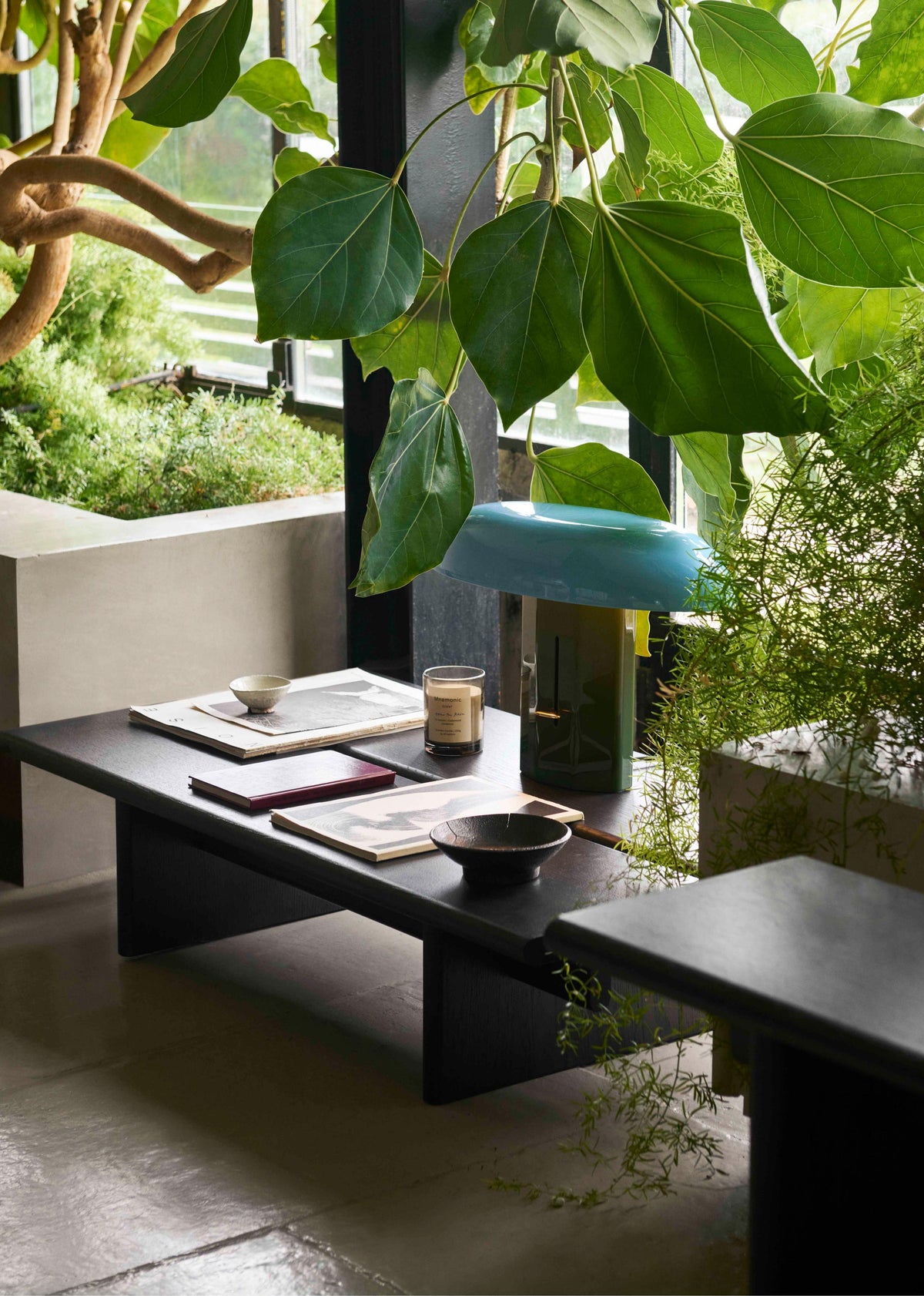 ITA coffee table dark oak wood
