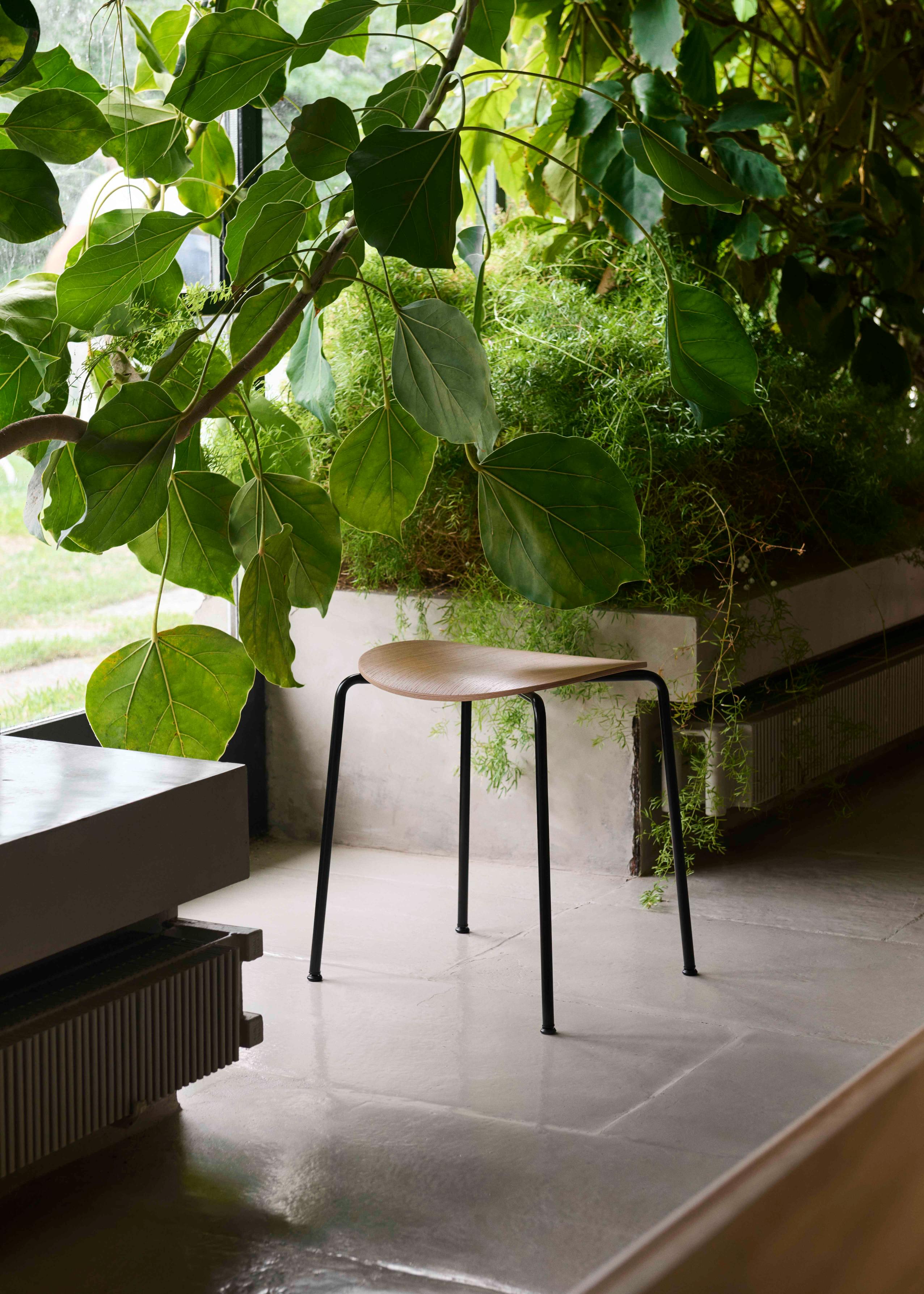 PAVILION AV36 Stool in oak wood with a black steel base
