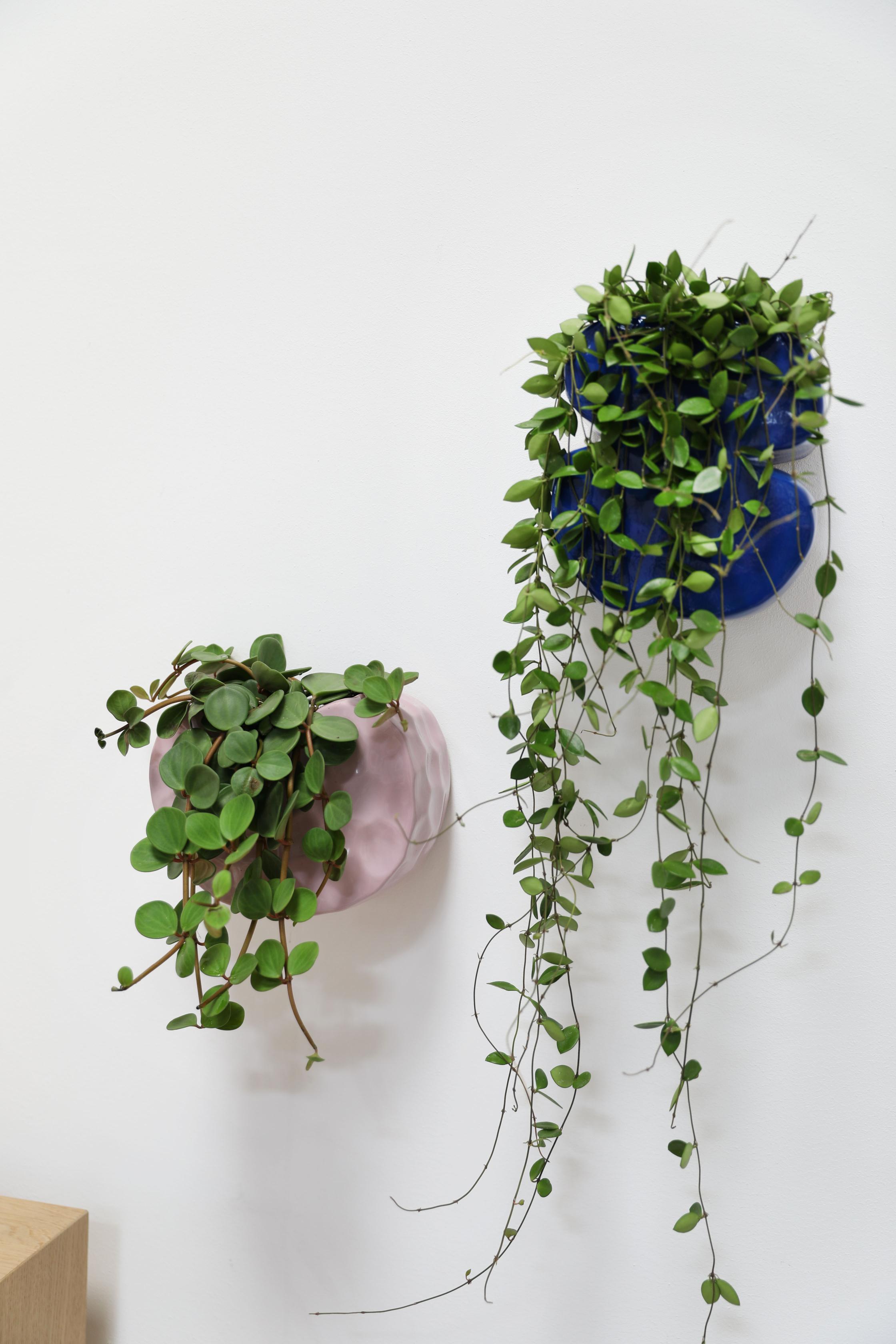 Wall Pot CLAY Lilac