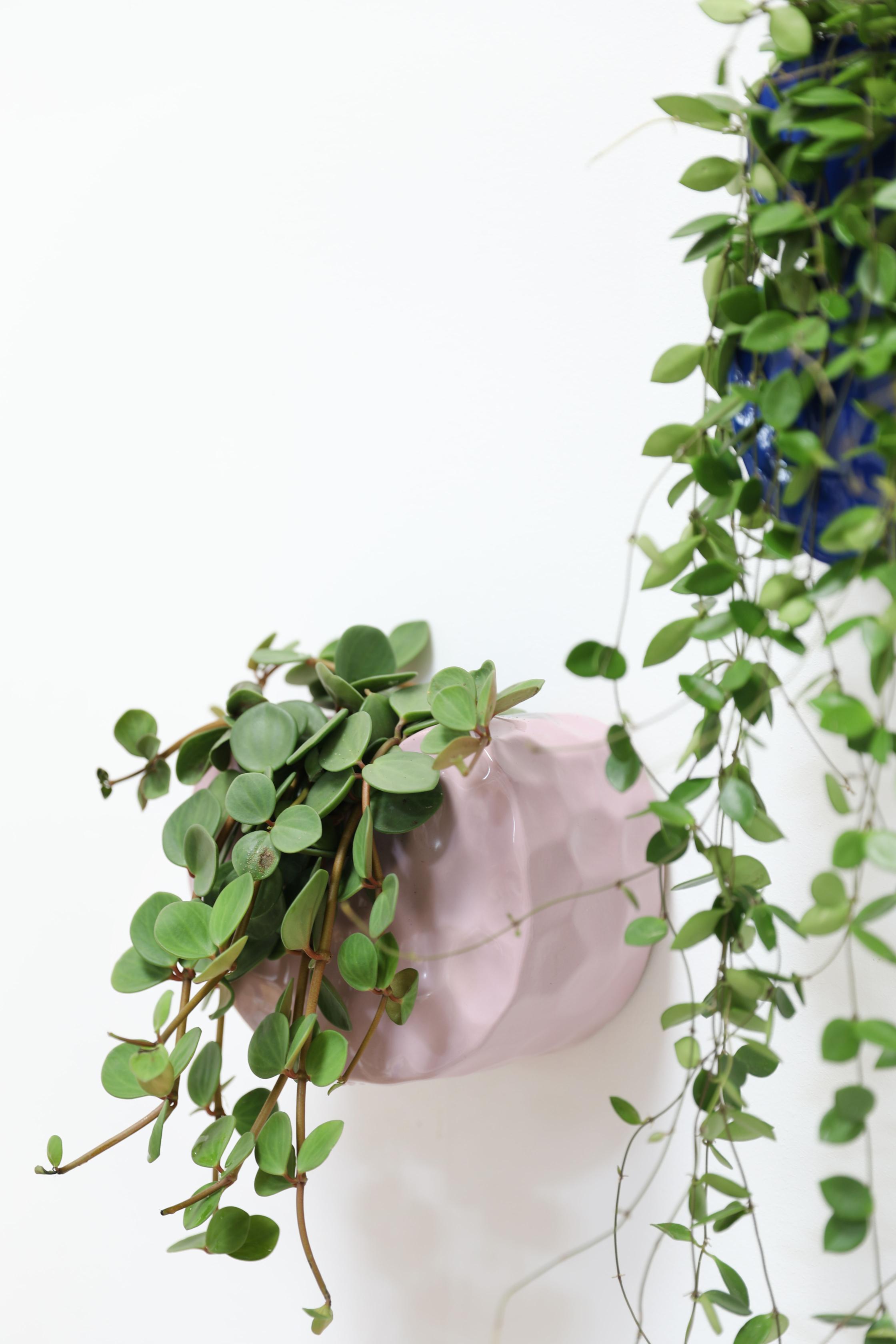 Wall Pot CLAY Lilac