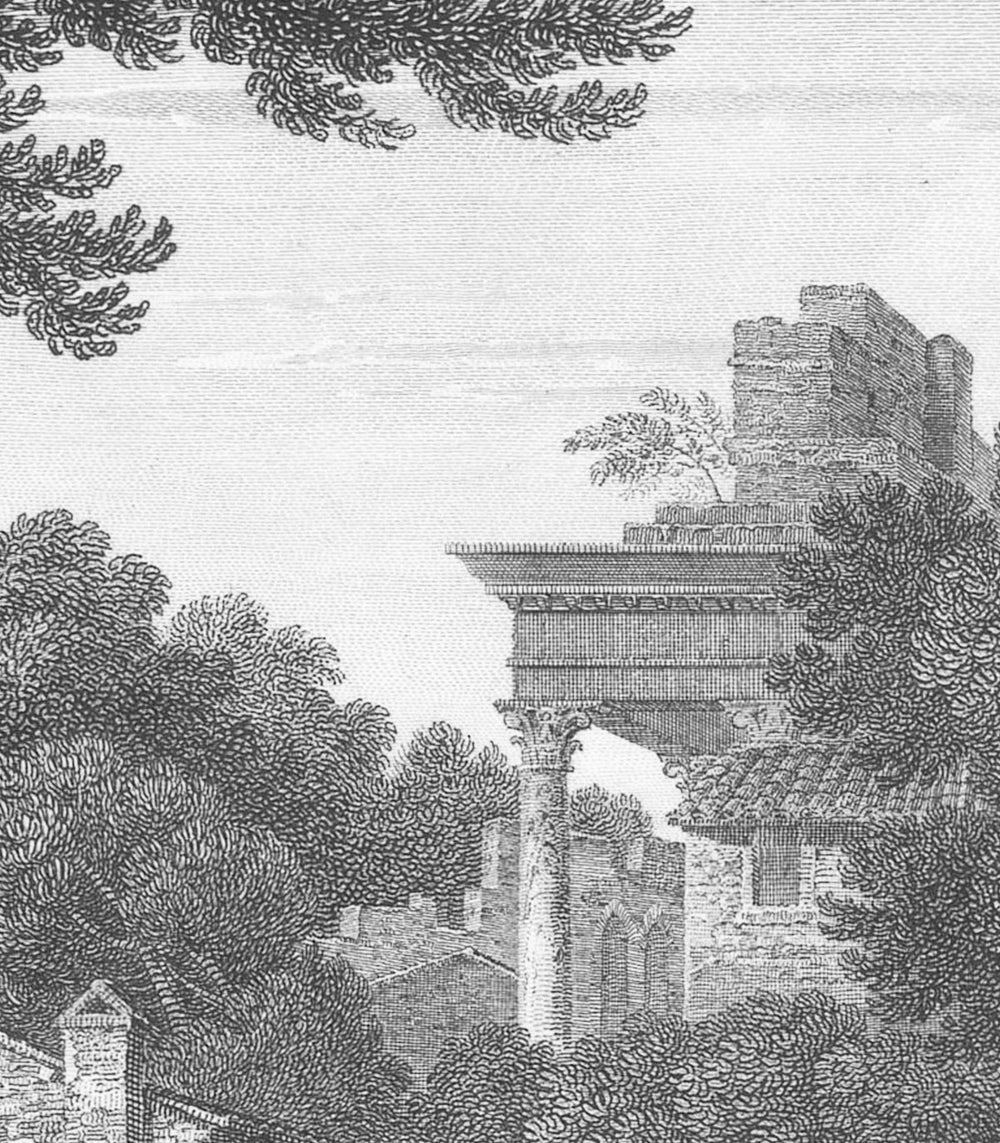 Non-woven wallpaper with the landscape ANCIENT RIVERSIDE GROVE gray