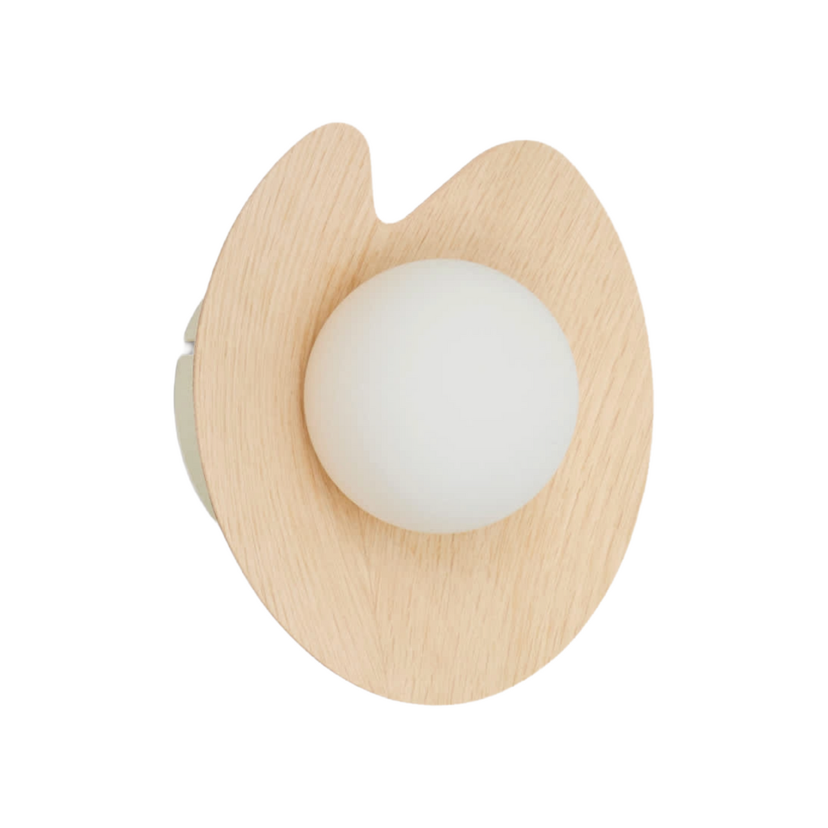 Wilara Wall Lamp in Oak Veneer