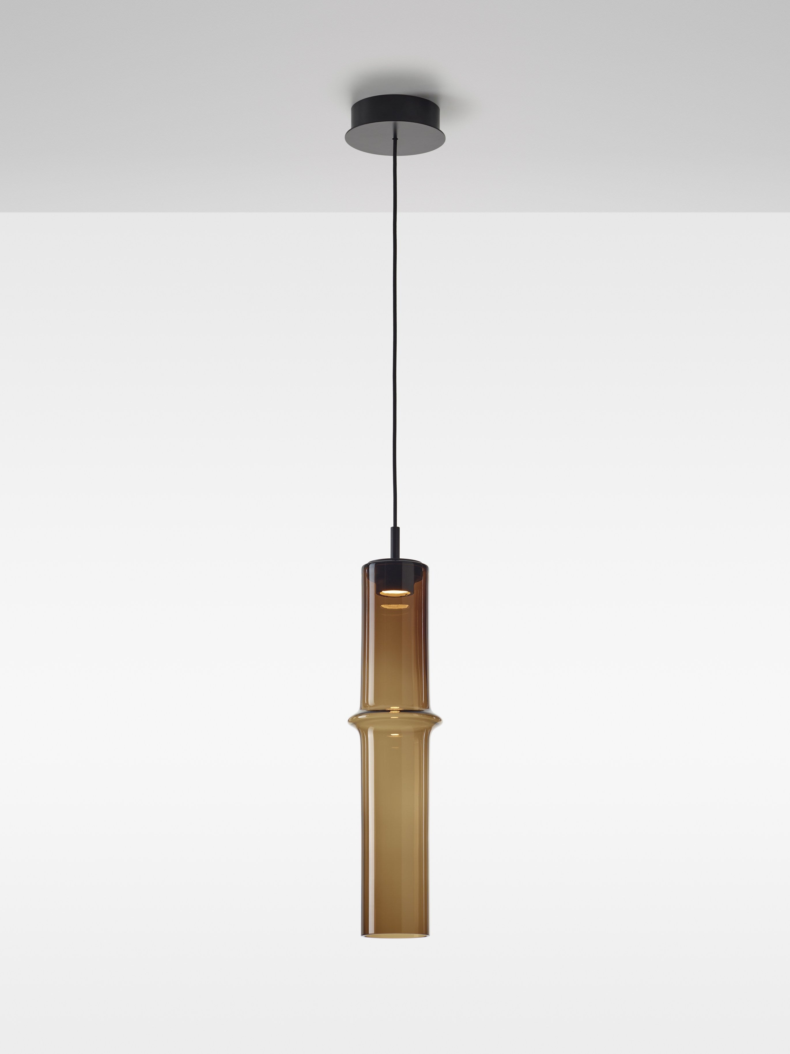 Hanging lamp bamboo forest glass