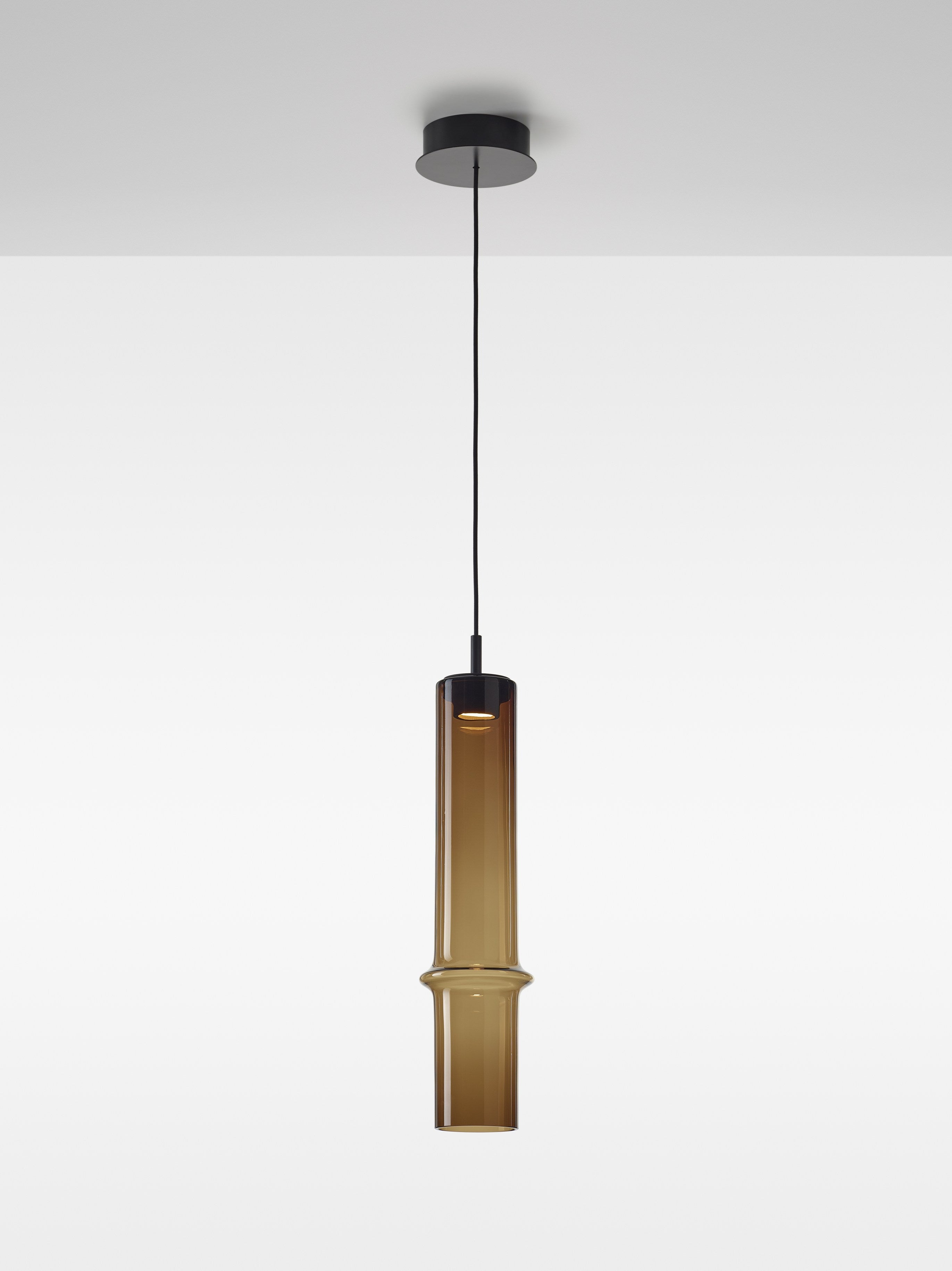 Hanging lamp bamboo forest glass