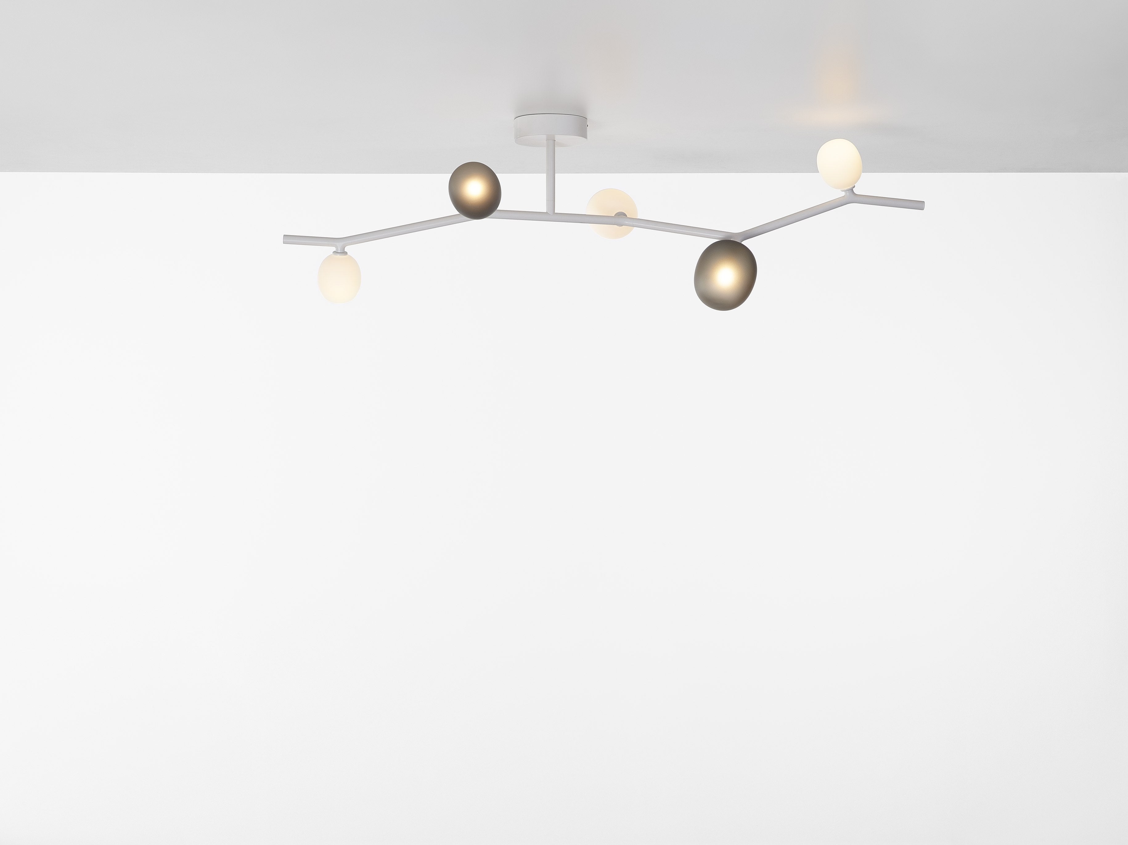 Ivy ceiling lamp matte glass