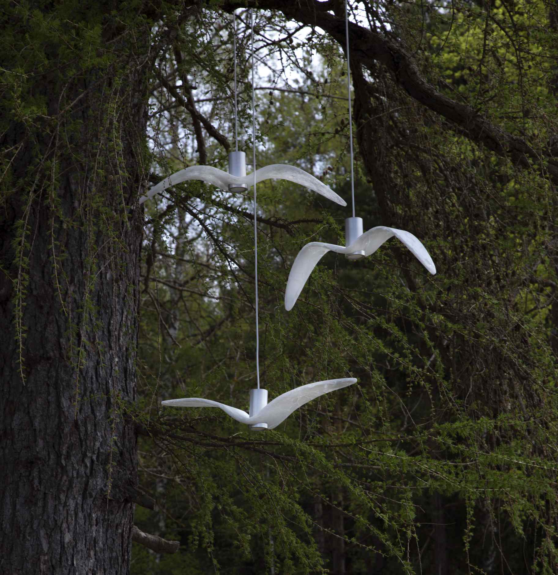 Outer hanging lamp Night Birds Exterior Glass