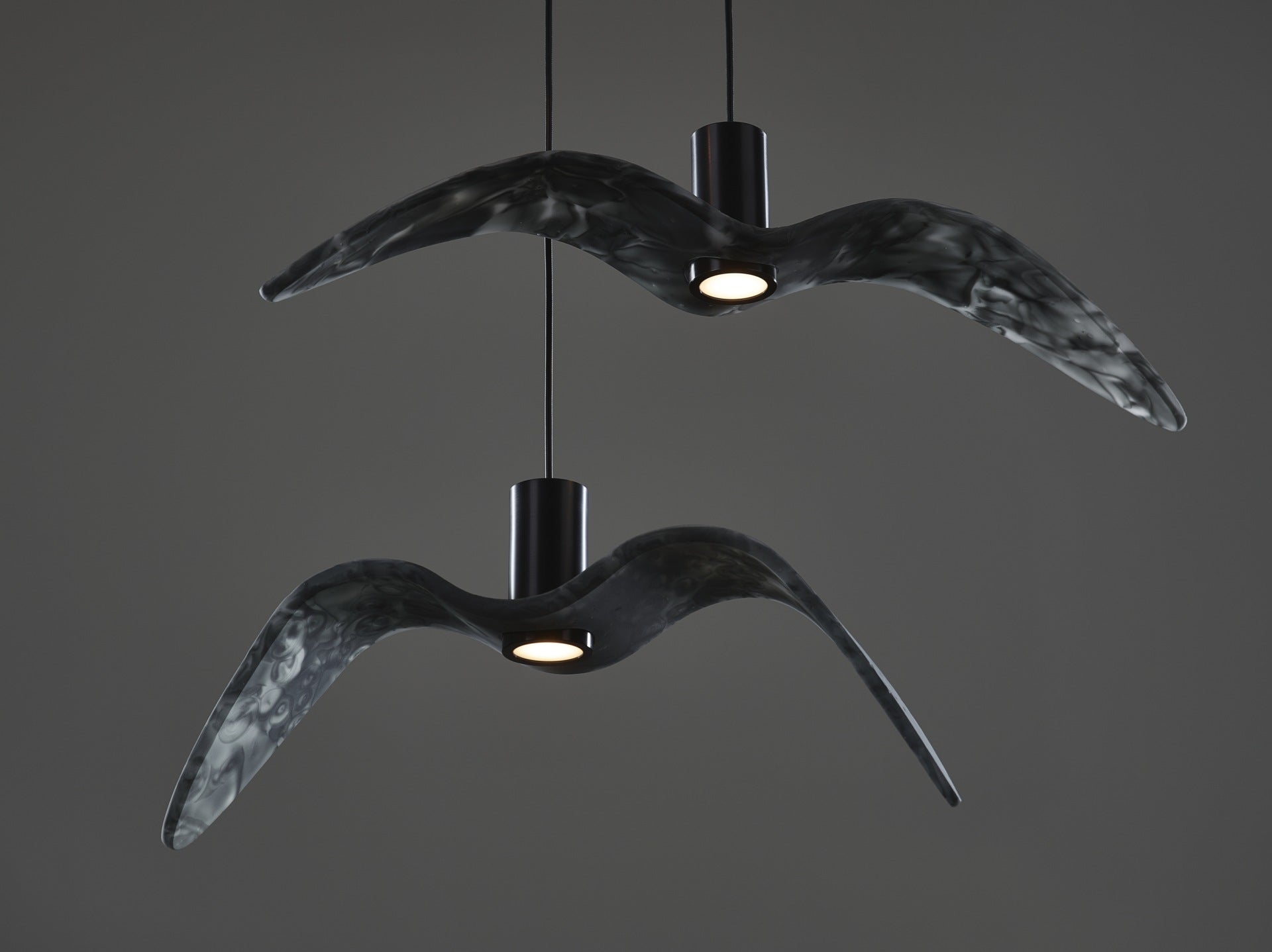 Outer hanging lamp Night Birds Exterior Glass