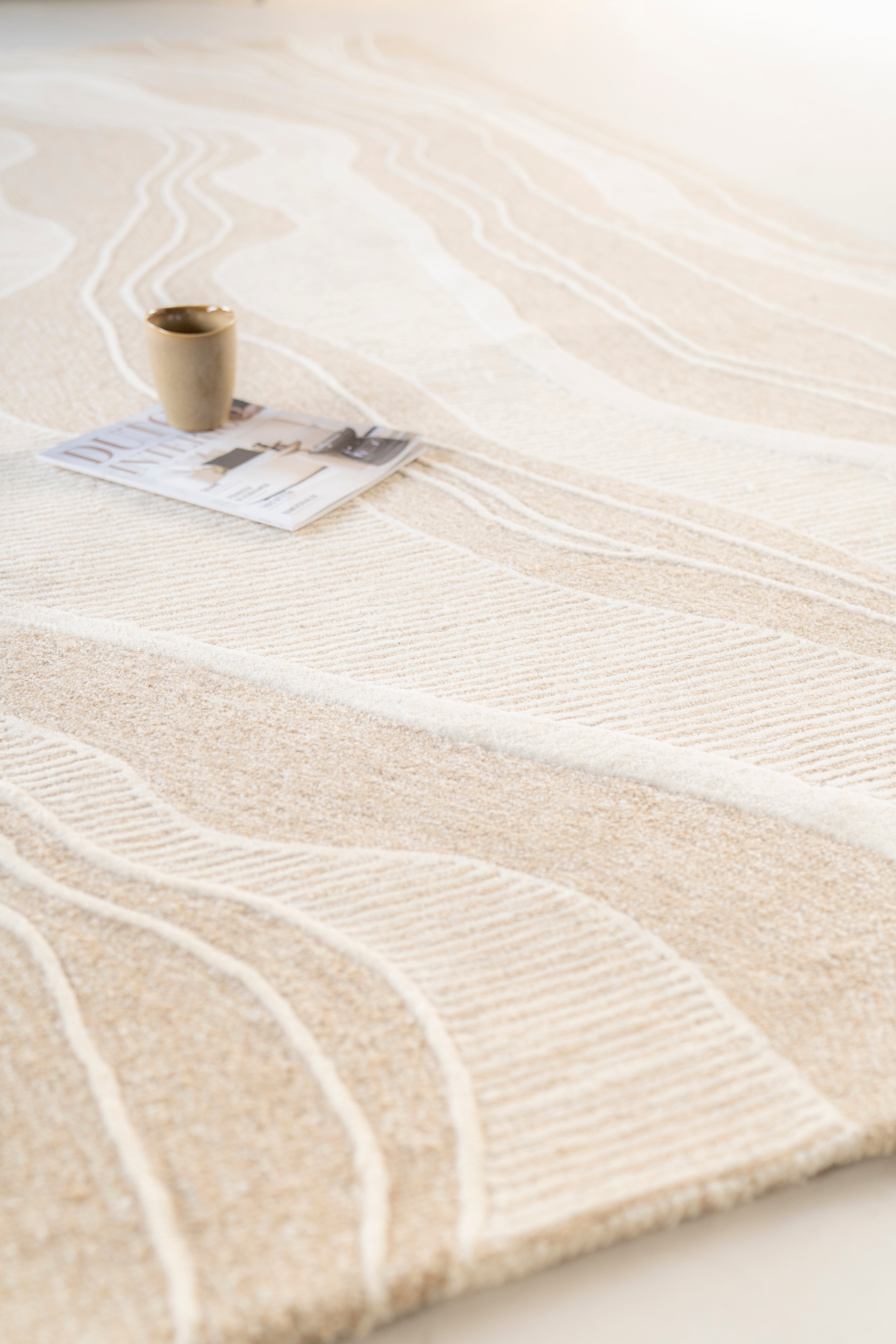 SOIL Beige Carpet