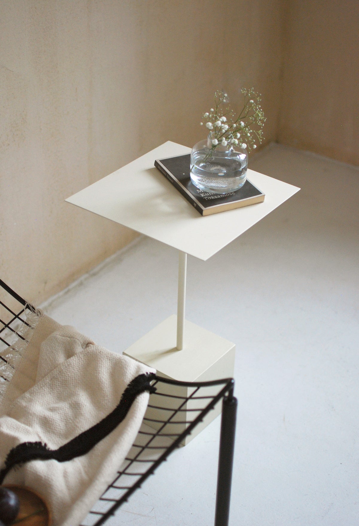 LEN Coffee Table in Steel and Wood