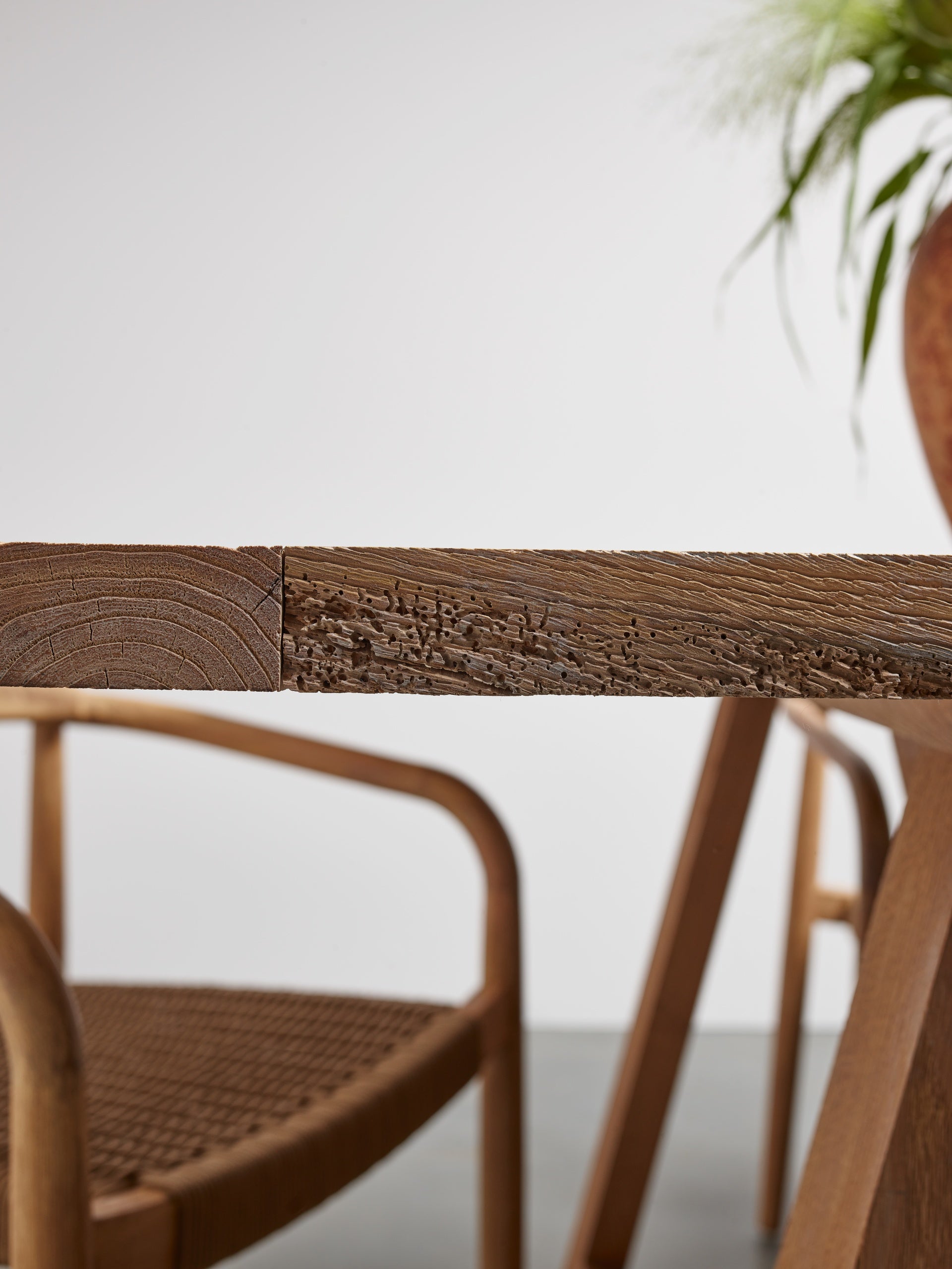 LOUIS Table Oak Wood