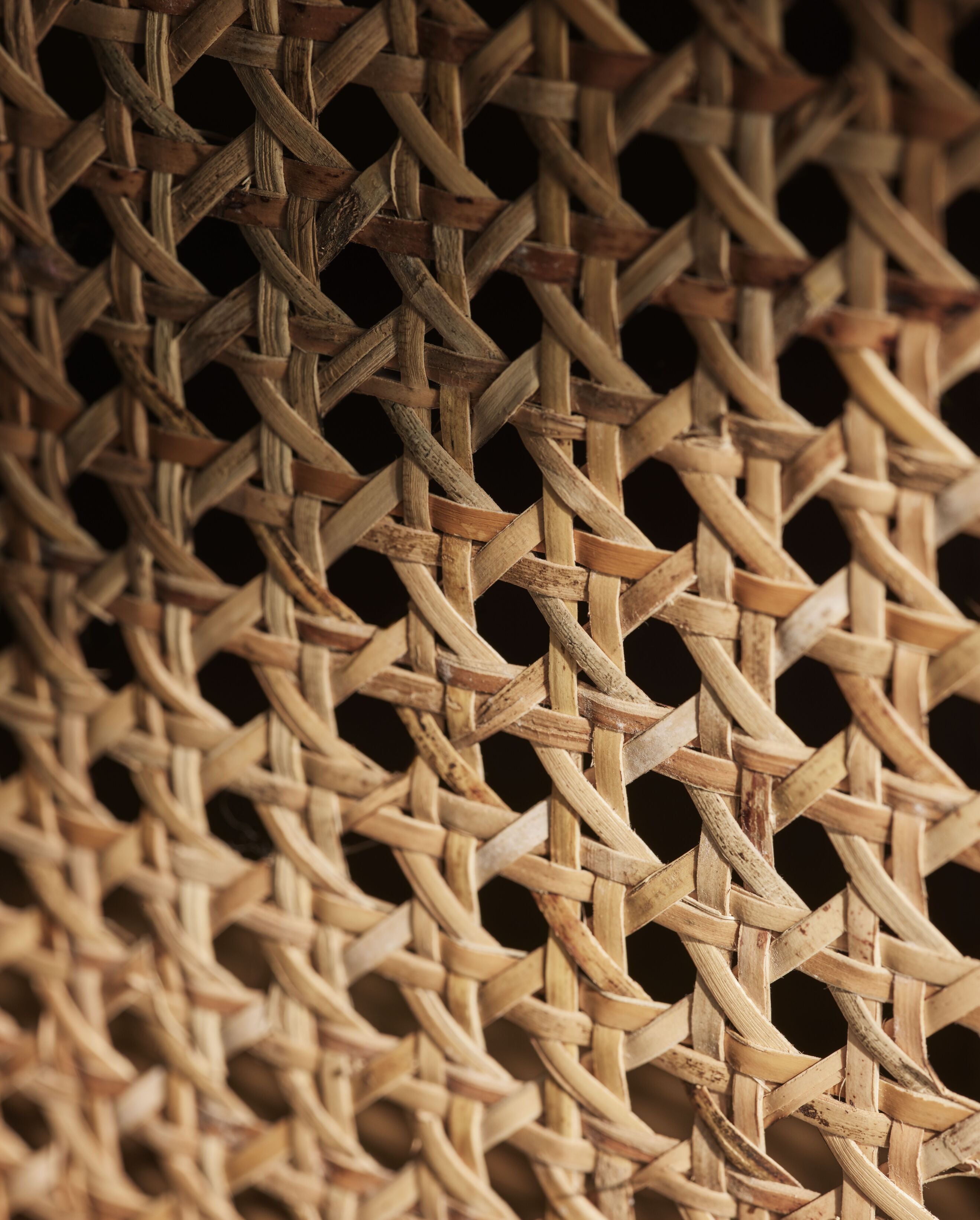 Cana cabinet bleached oak wood