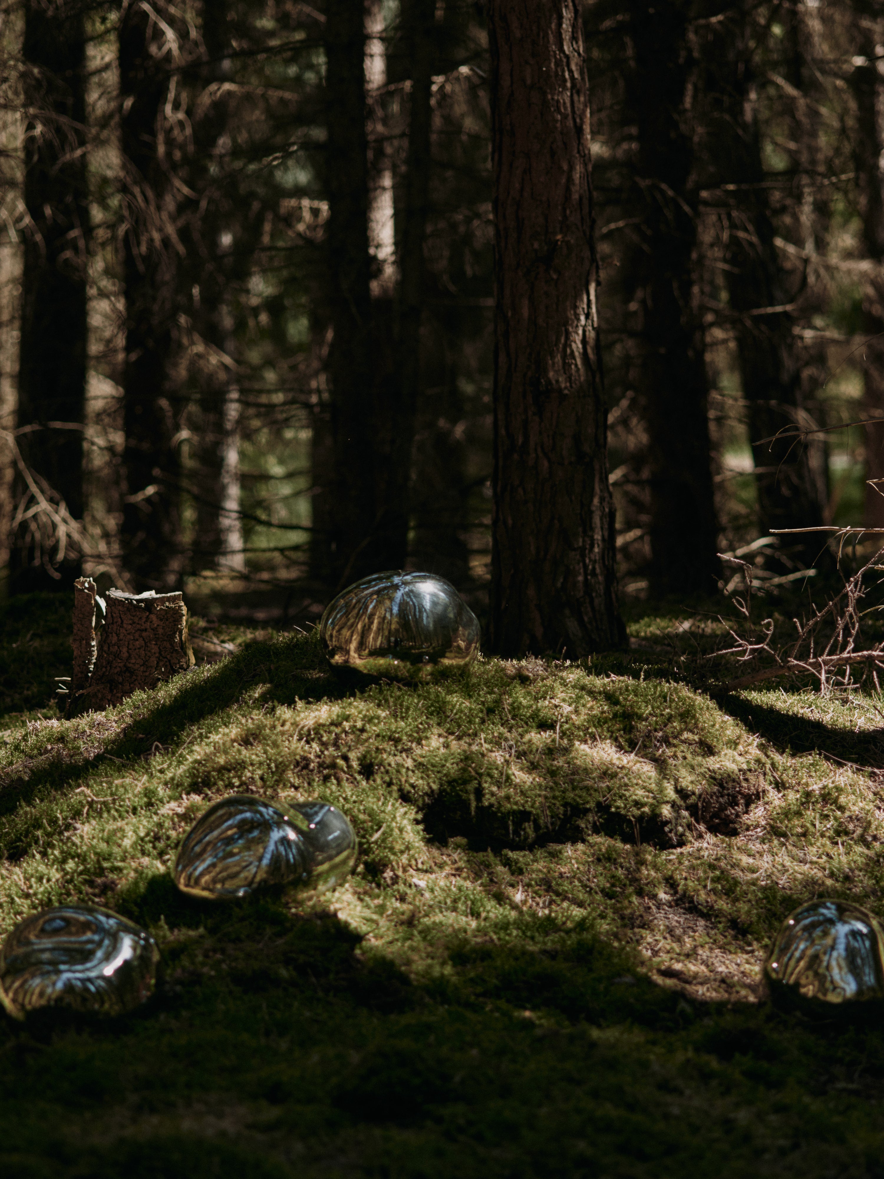 BELLURE silver decoration [Klaudia] [Amelia spr] [Amelia spr]