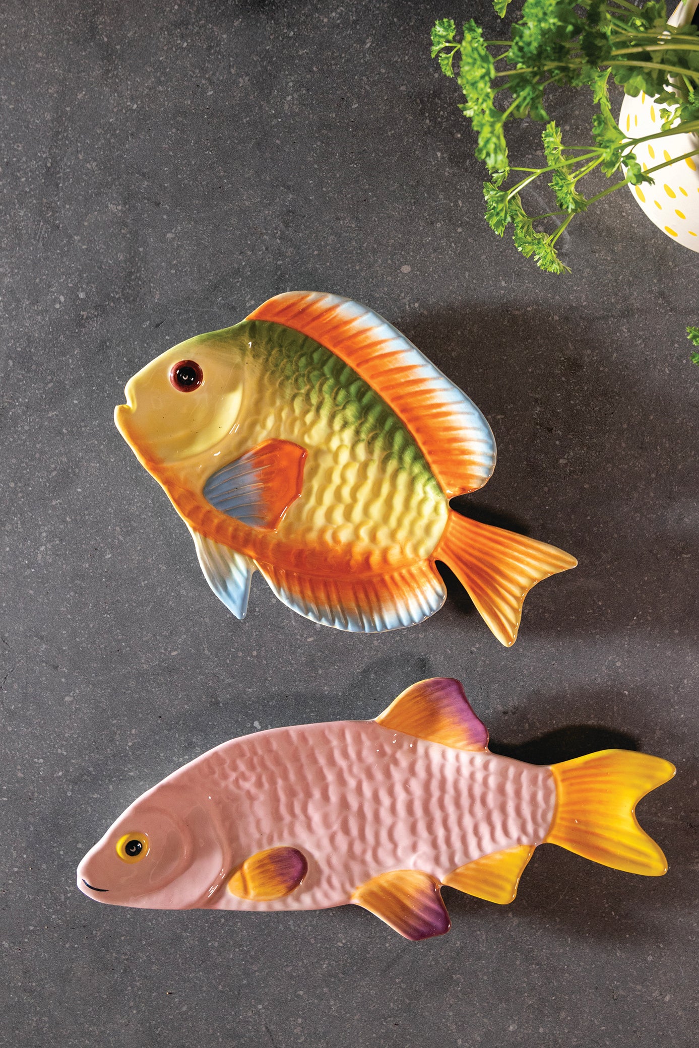 Pink Fish Snapper Plate with Yellow