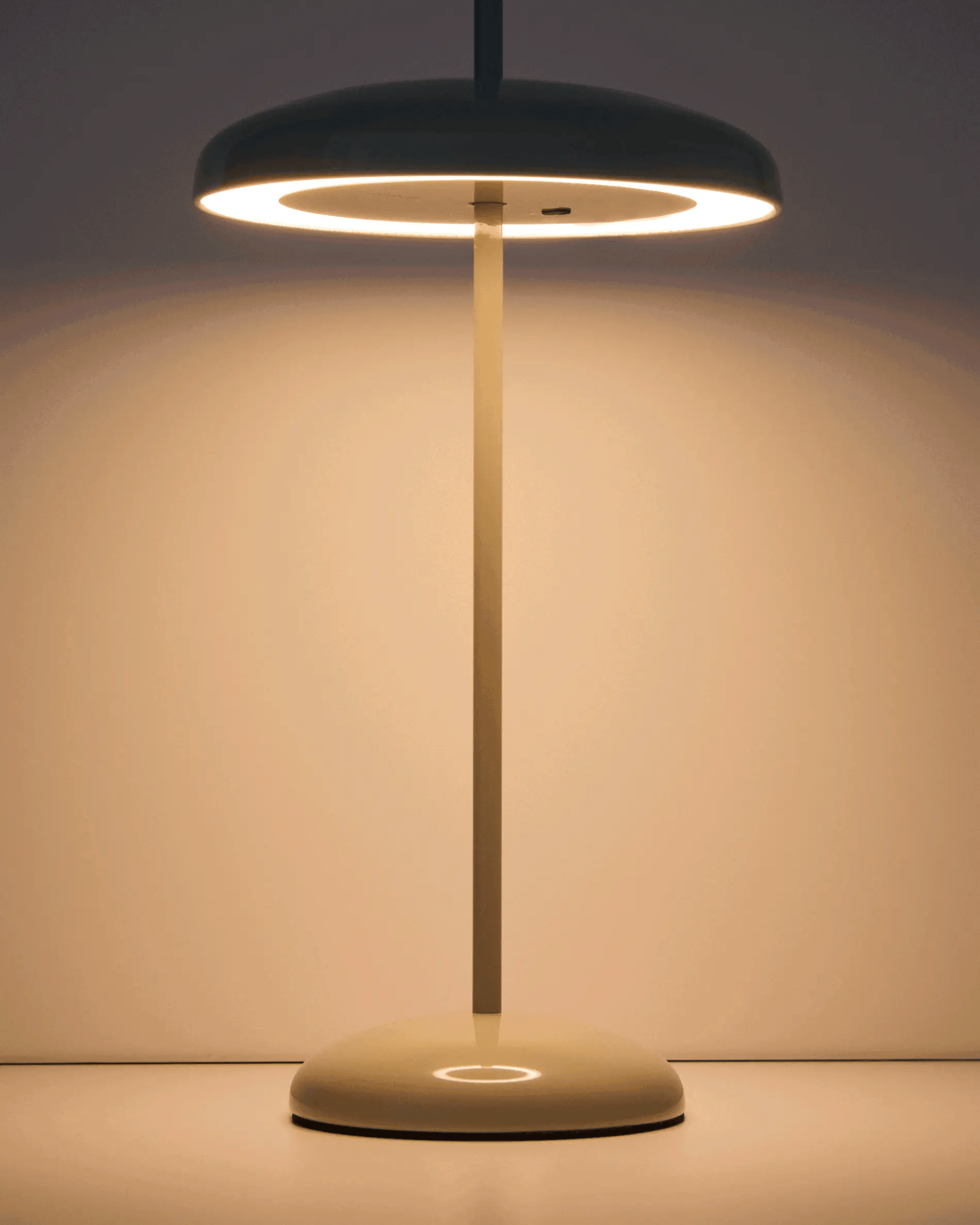 Lampa przenośna PORTE miętowy