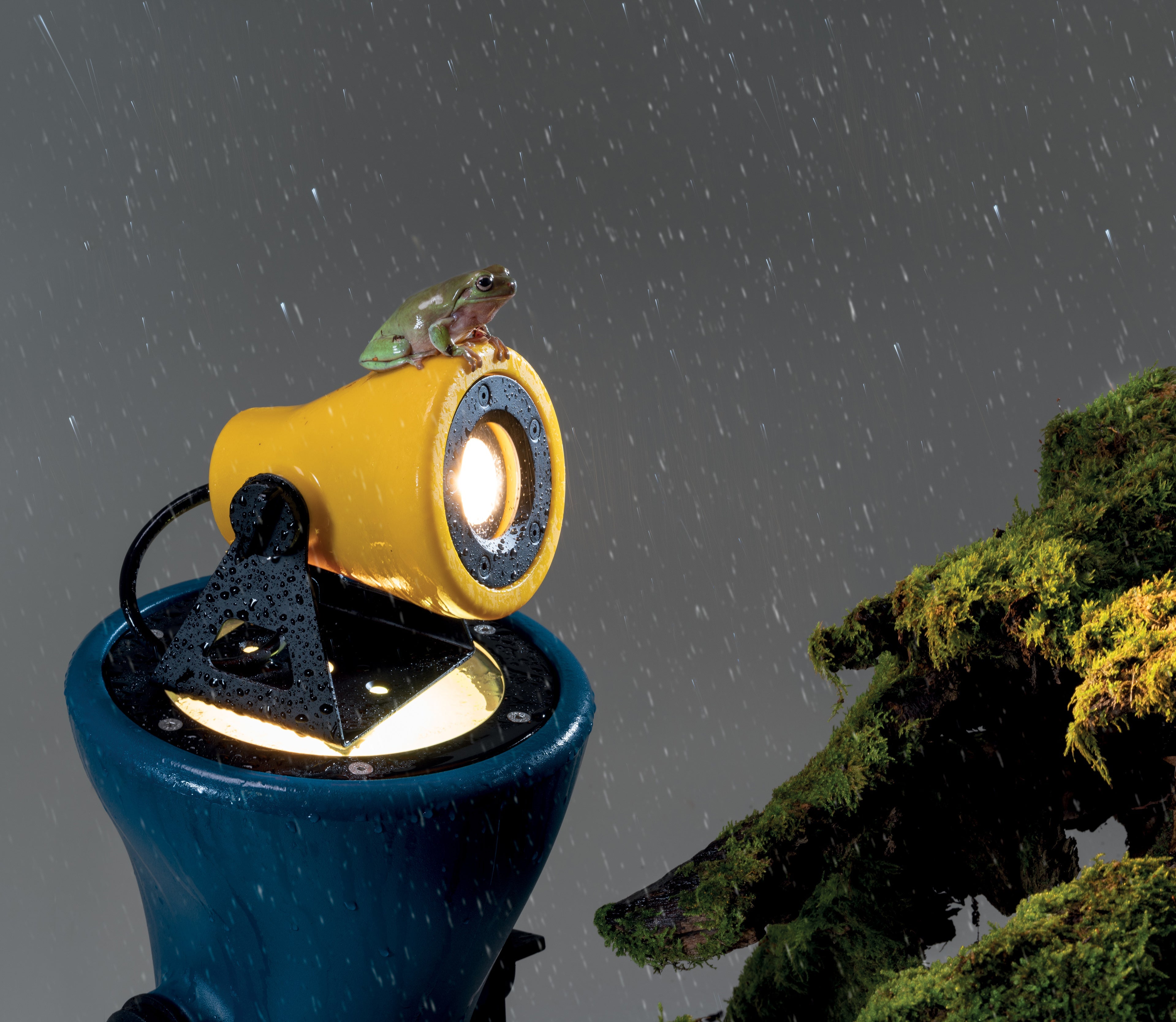 FROG Blue Outdoor Wall Lamp