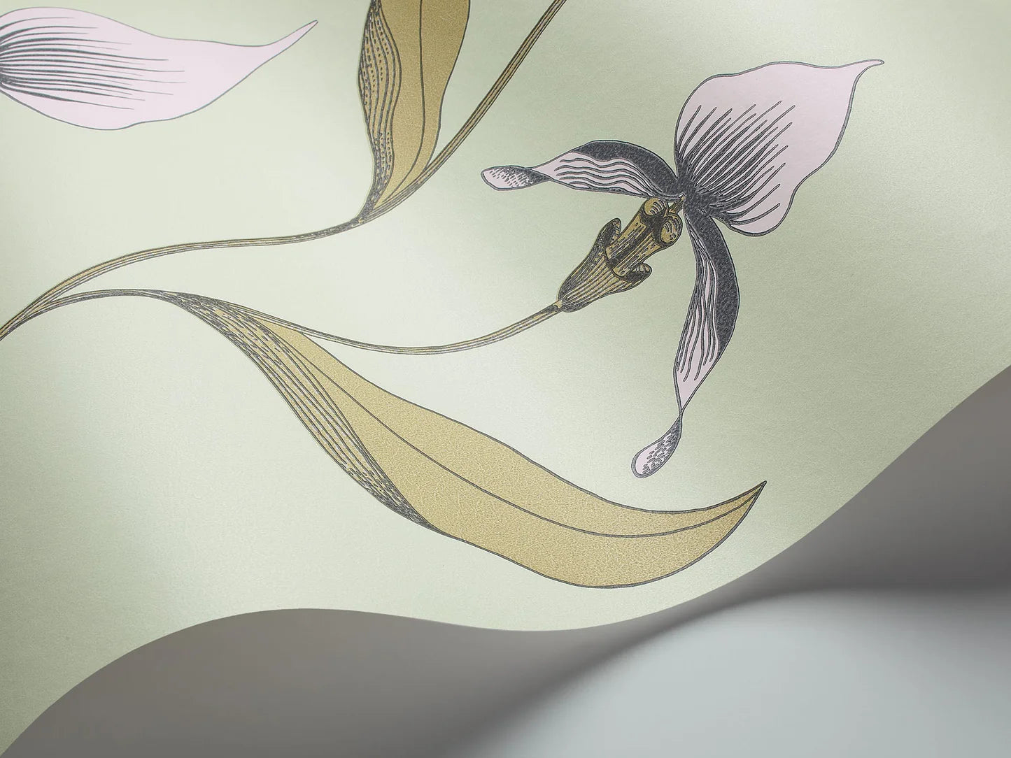 Wallpaper with a plant motif of orchid flowers CONTEMPORARY COLLECTION - ORCHID sandy with green