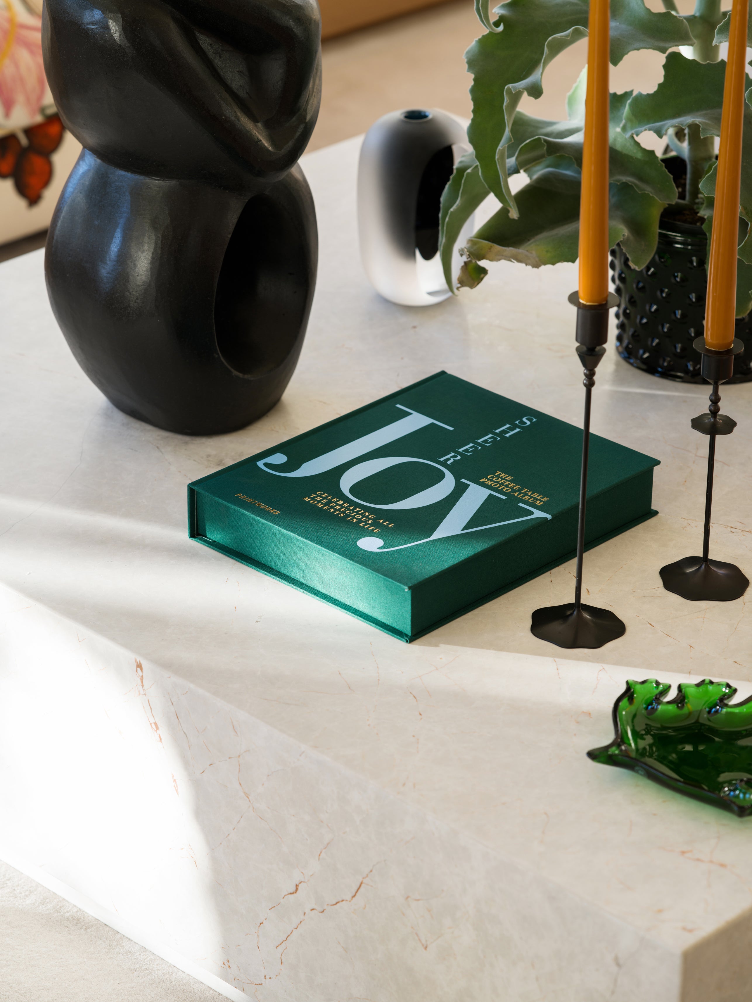 SHEER JOY Photo Album Green with Blue