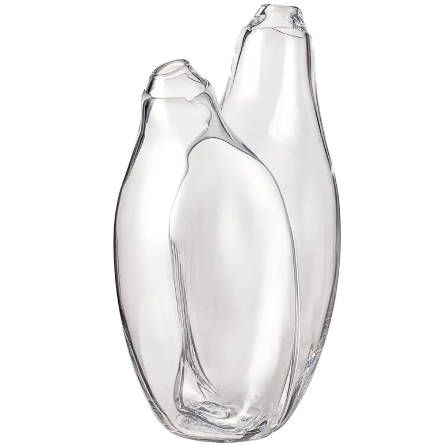 Hug glass vase