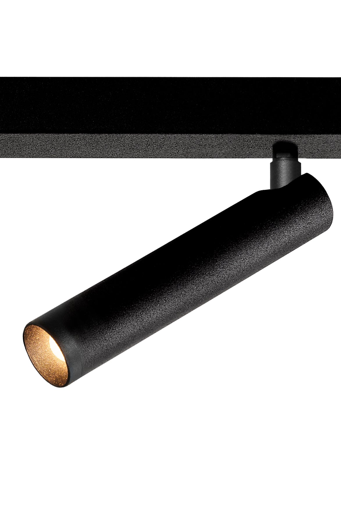 ROLL 2 Black Ceiling Lamp